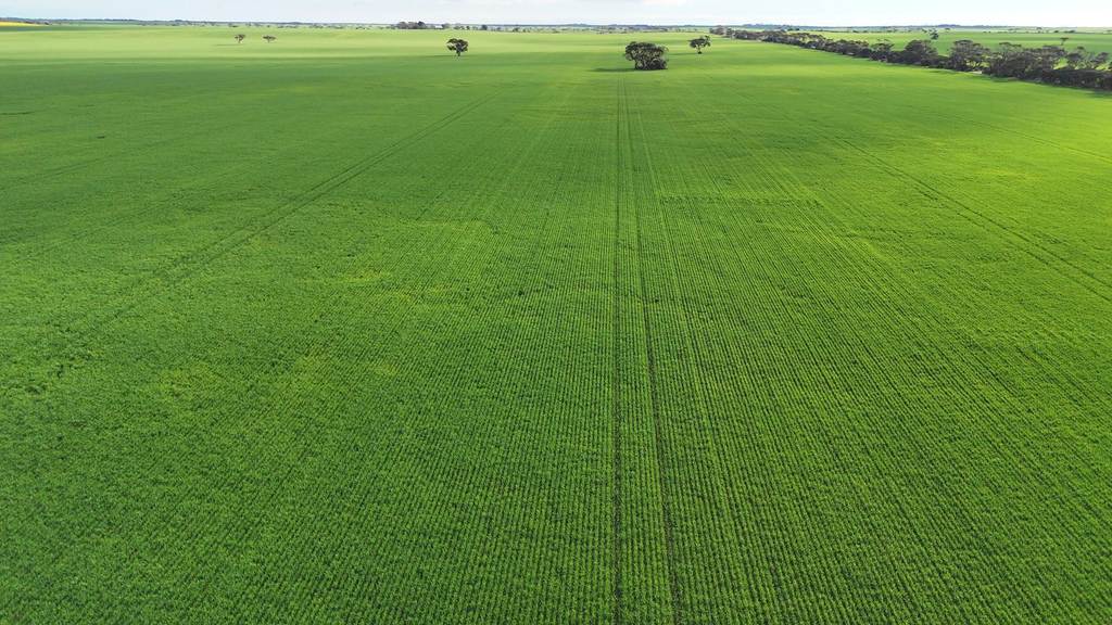 'Bruces Blocks' Brucefield Rd, Alford SA 5555