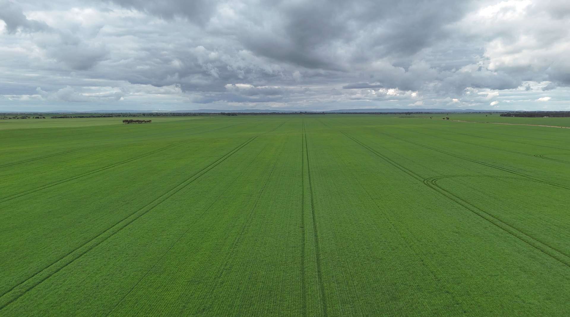 'Bruces Blocks' Brucefield Rd, Alford For Sale by Farmbuy.com - image 8