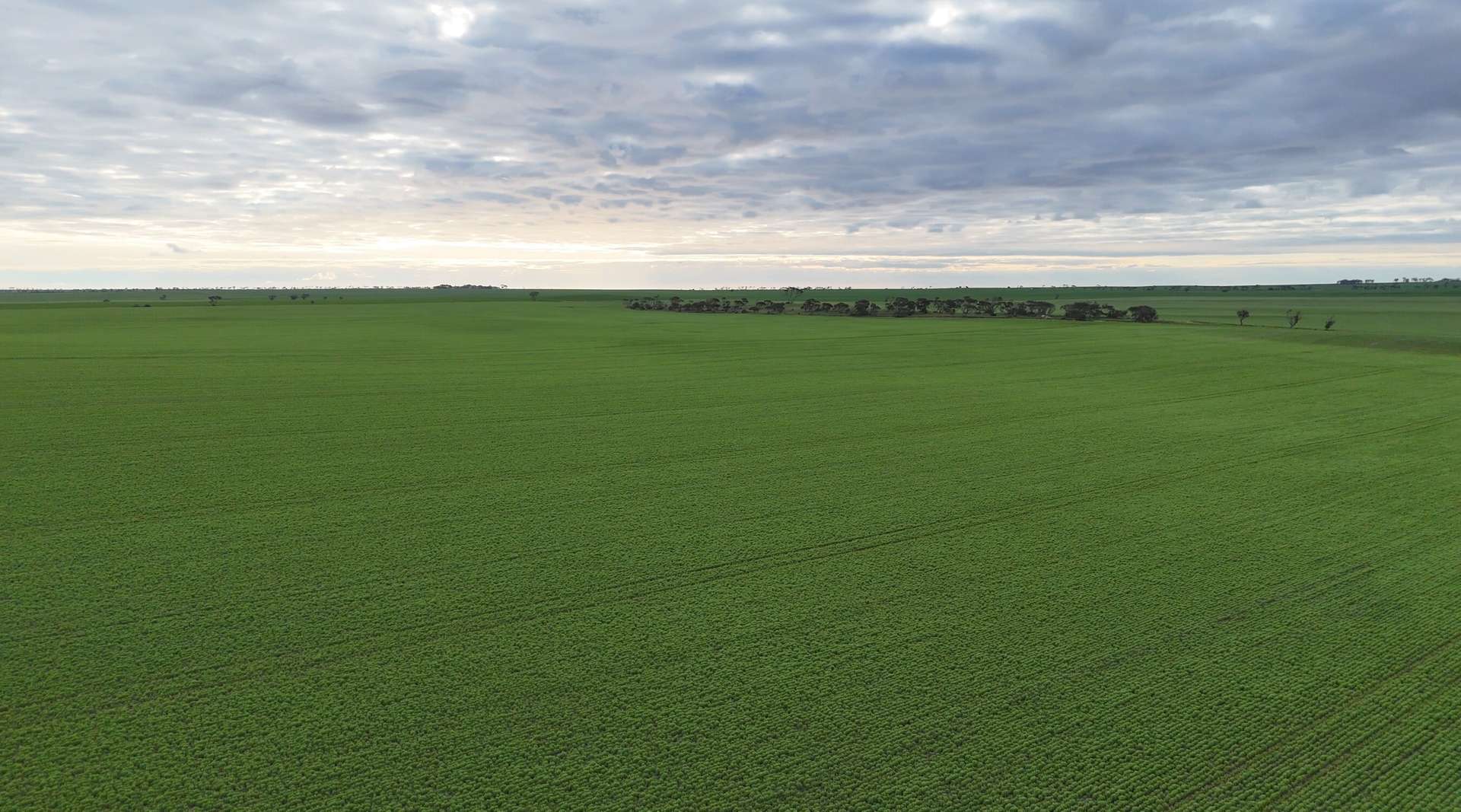 'Bruces Blocks' Brucefield Rd, Alford For Sale by Farmbuy.com - image 12