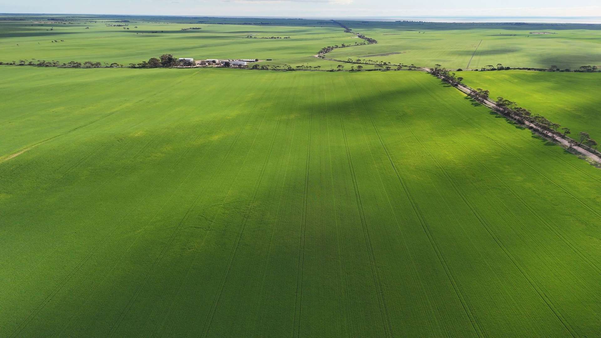 'Bruces Blocks' Brucefield Rd, Alford For Sale by Farmbuy.com - image 14