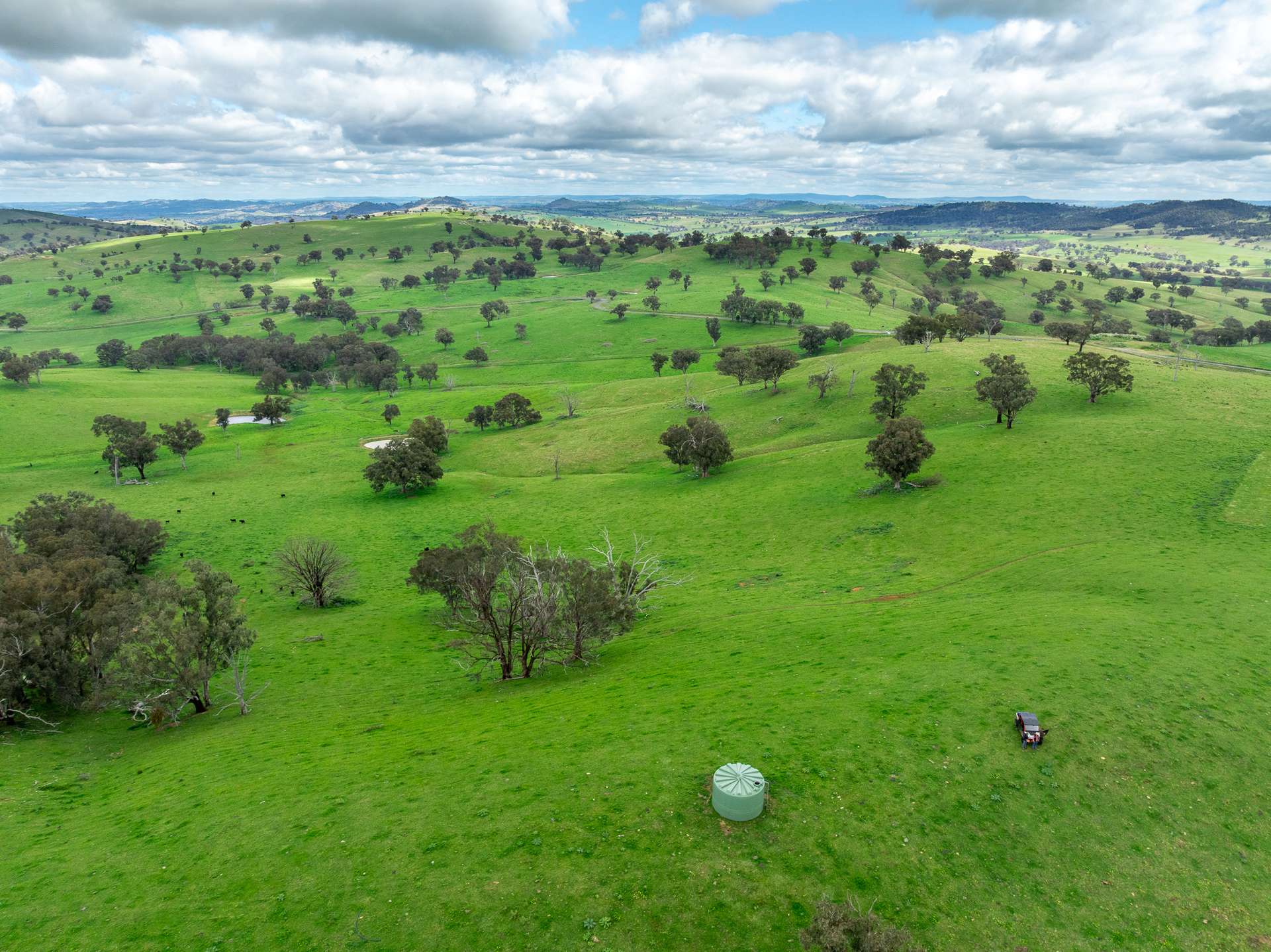 1079 Reg Hailstone Way, Woodstock Auction by Farmbuy.com - image 9