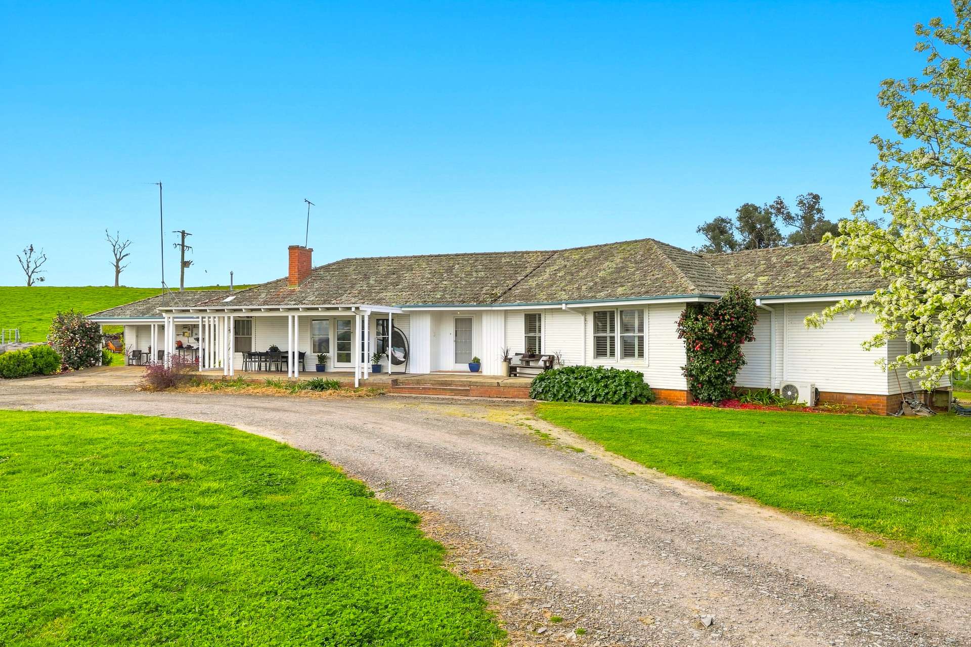 1079 Reg Hailstone Way, Woodstock Auction by Farmbuy.com - image 3