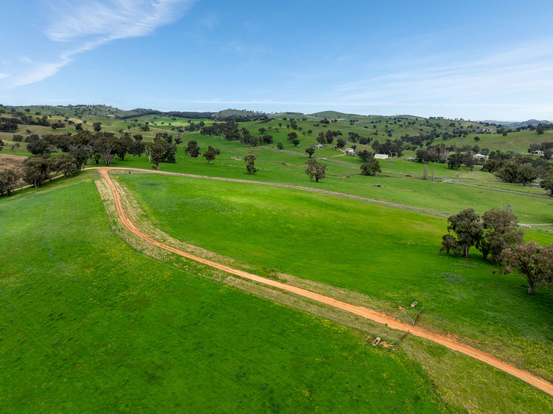 1079 Reg Hailstone Way, Woodstock Auction by Farmbuy.com - image 17