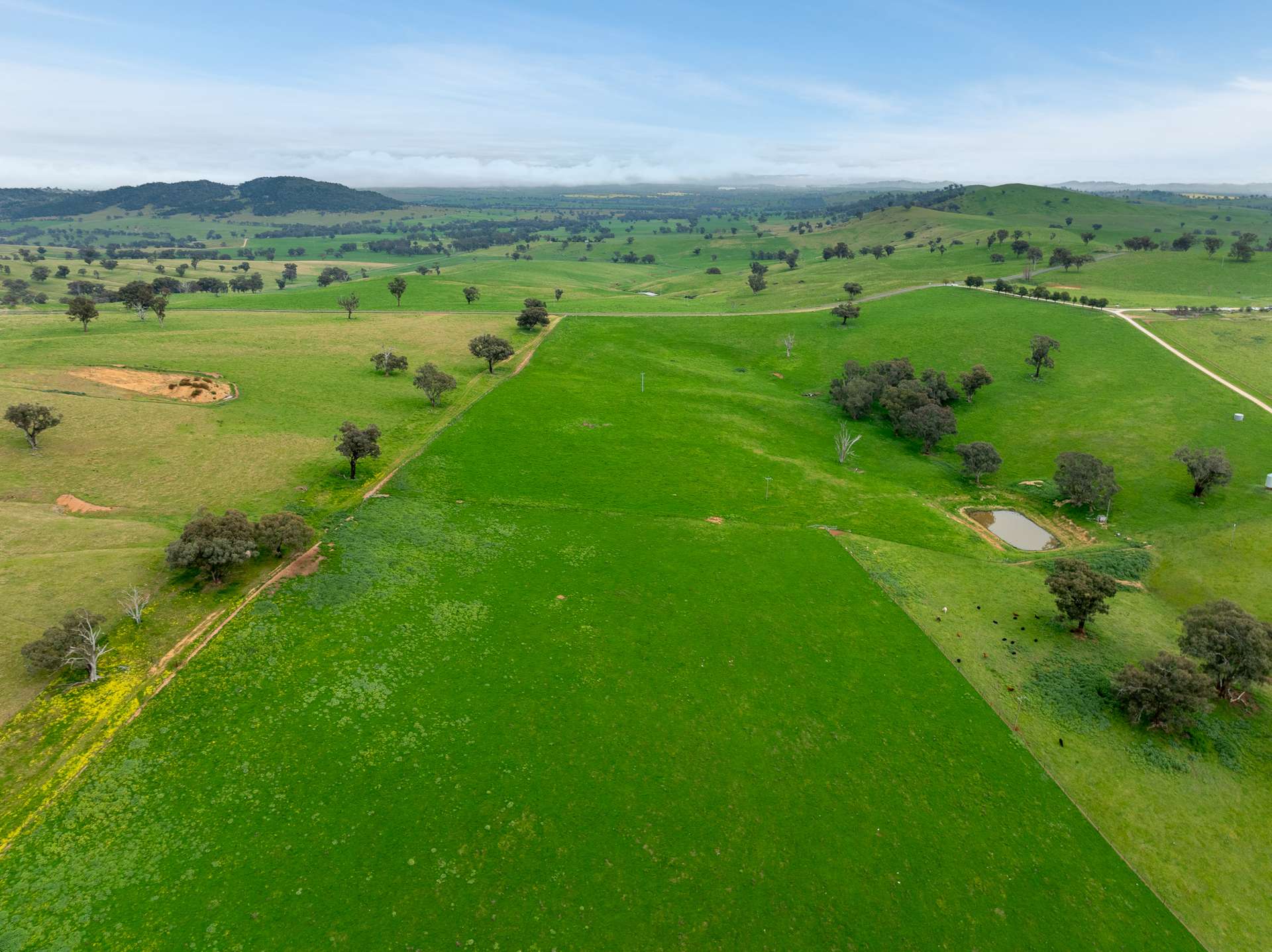 1079 Reg Hailstone Way, Woodstock Auction by Farmbuy.com - image 5