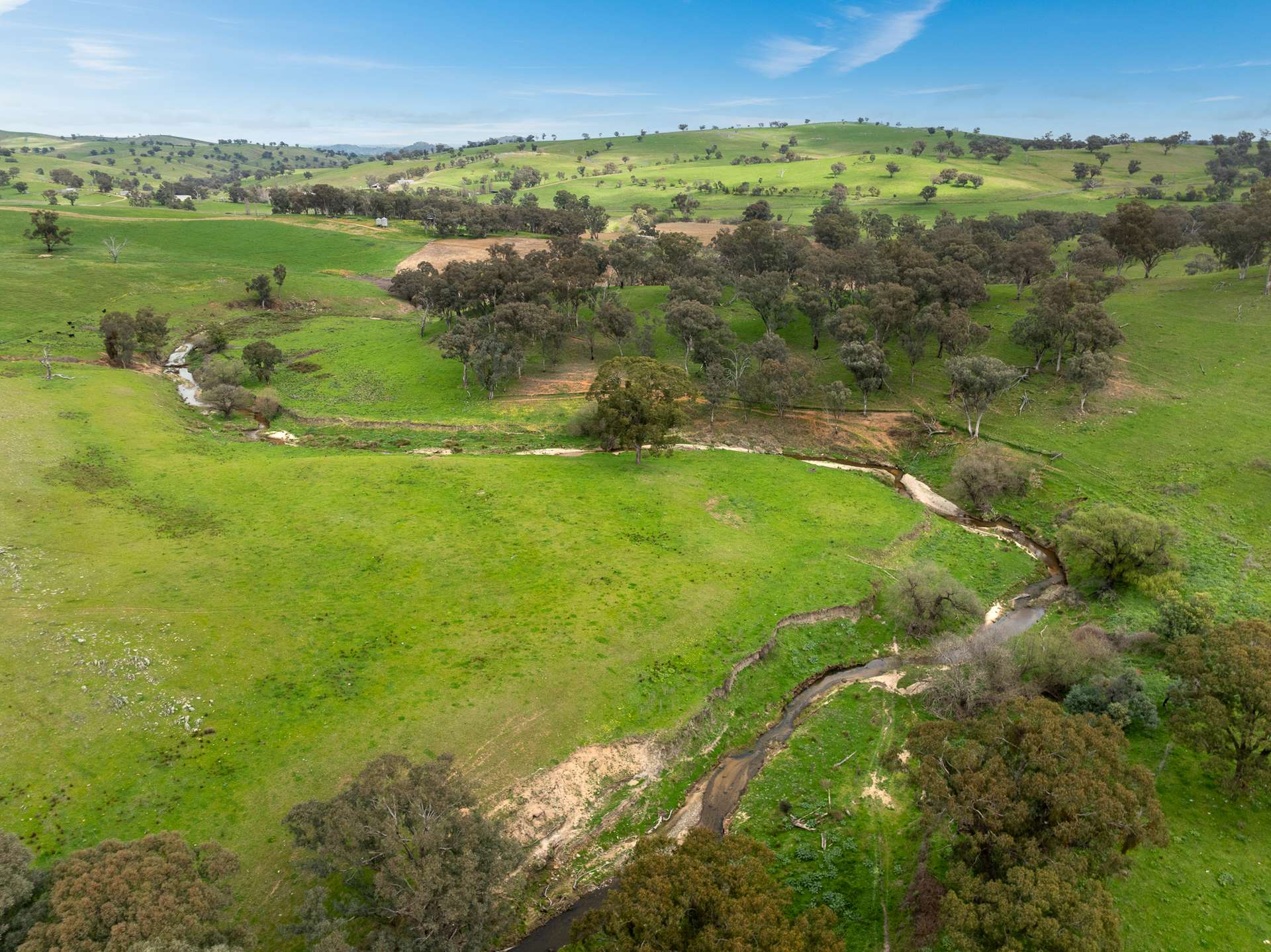 1079 Reg Hailstone Way, Woodstock Auction by Farmbuy.com - image 14