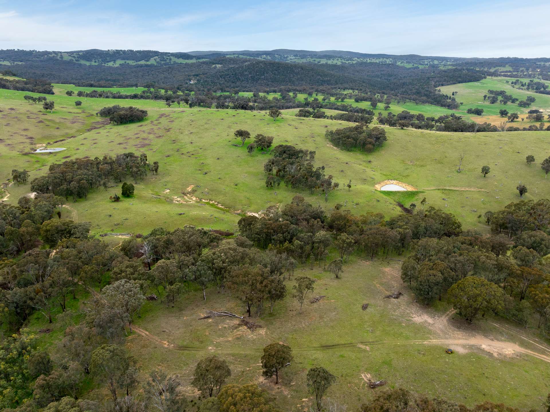 1079 Reg Hailstone Way, Woodstock Auction by Farmbuy.com - image 10