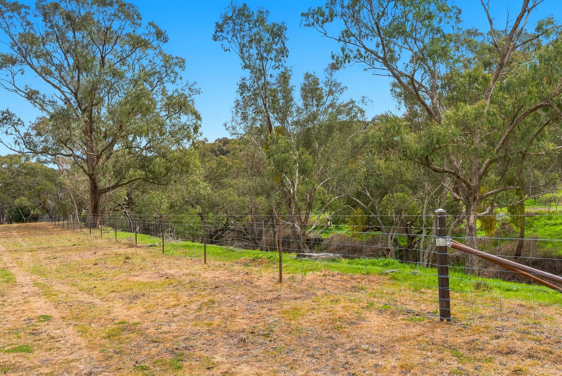 1079 Reg Hailstone Way, Woodstock Auction by Farmbuy.com - image 35