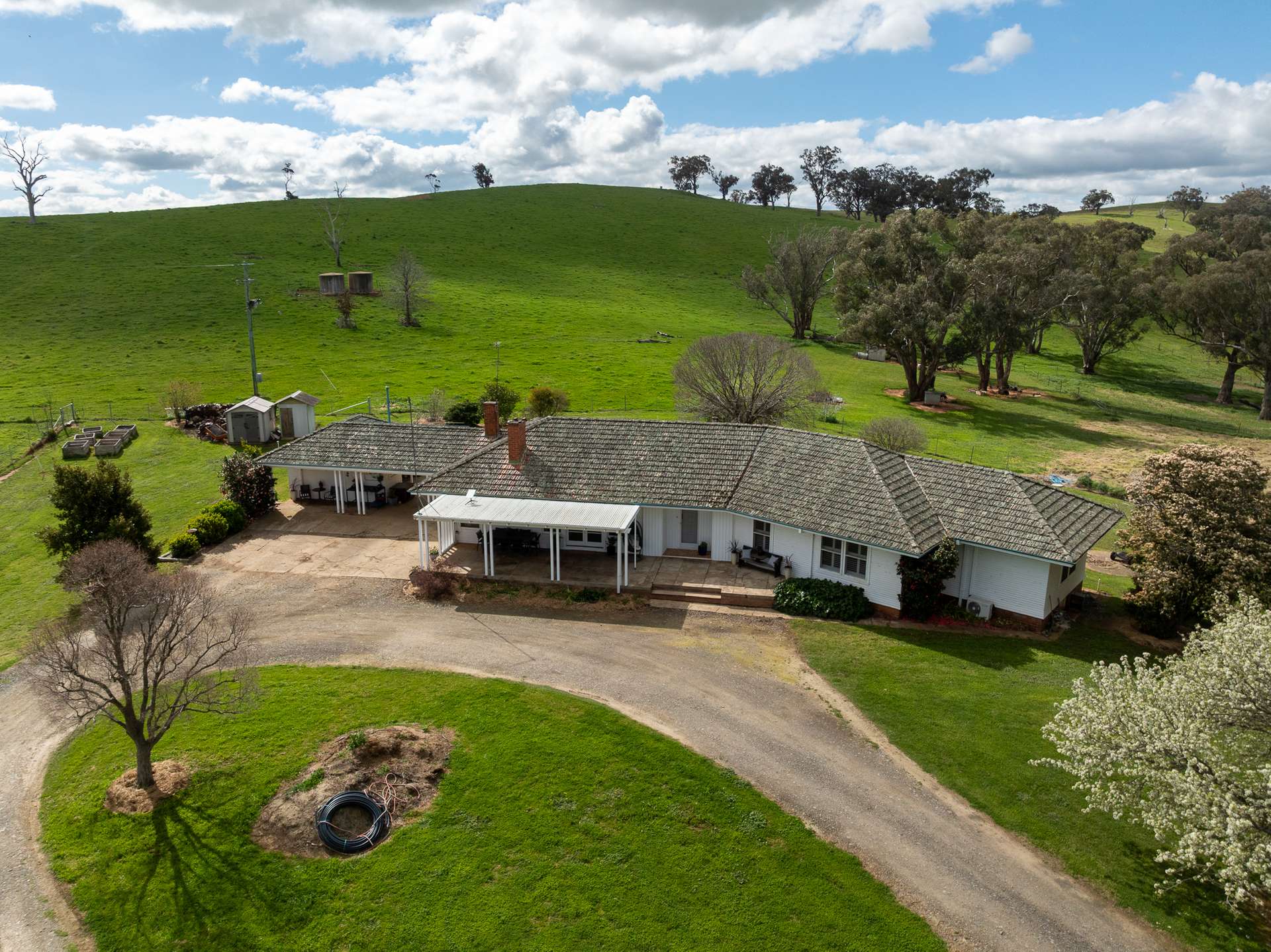 1079 Reg Hailstone Way, Woodstock Auction by Farmbuy.com - image 21
