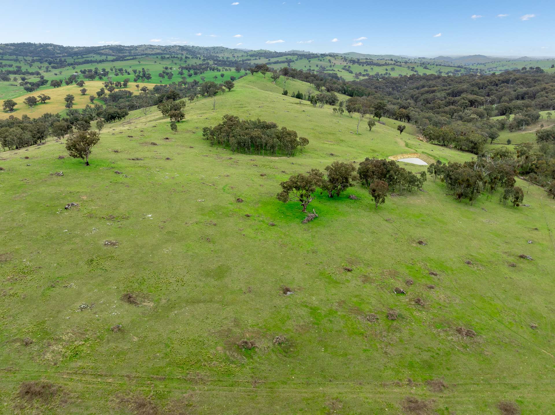 1079 Reg Hailstone Way, Woodstock Auction by Farmbuy.com - image 11