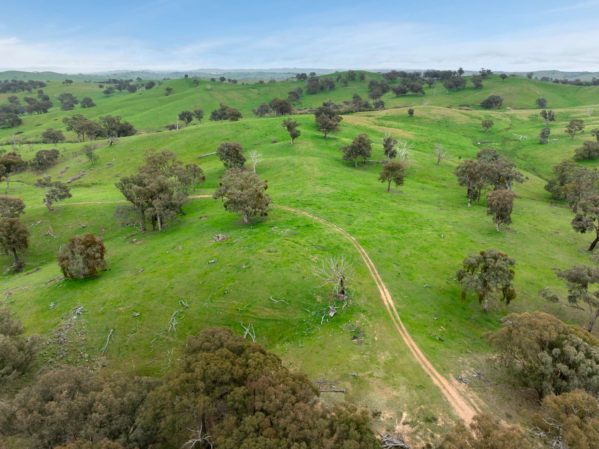 1079 Reg Hailstone Way, Woodstock Auction by Farmbuy.com - image 12