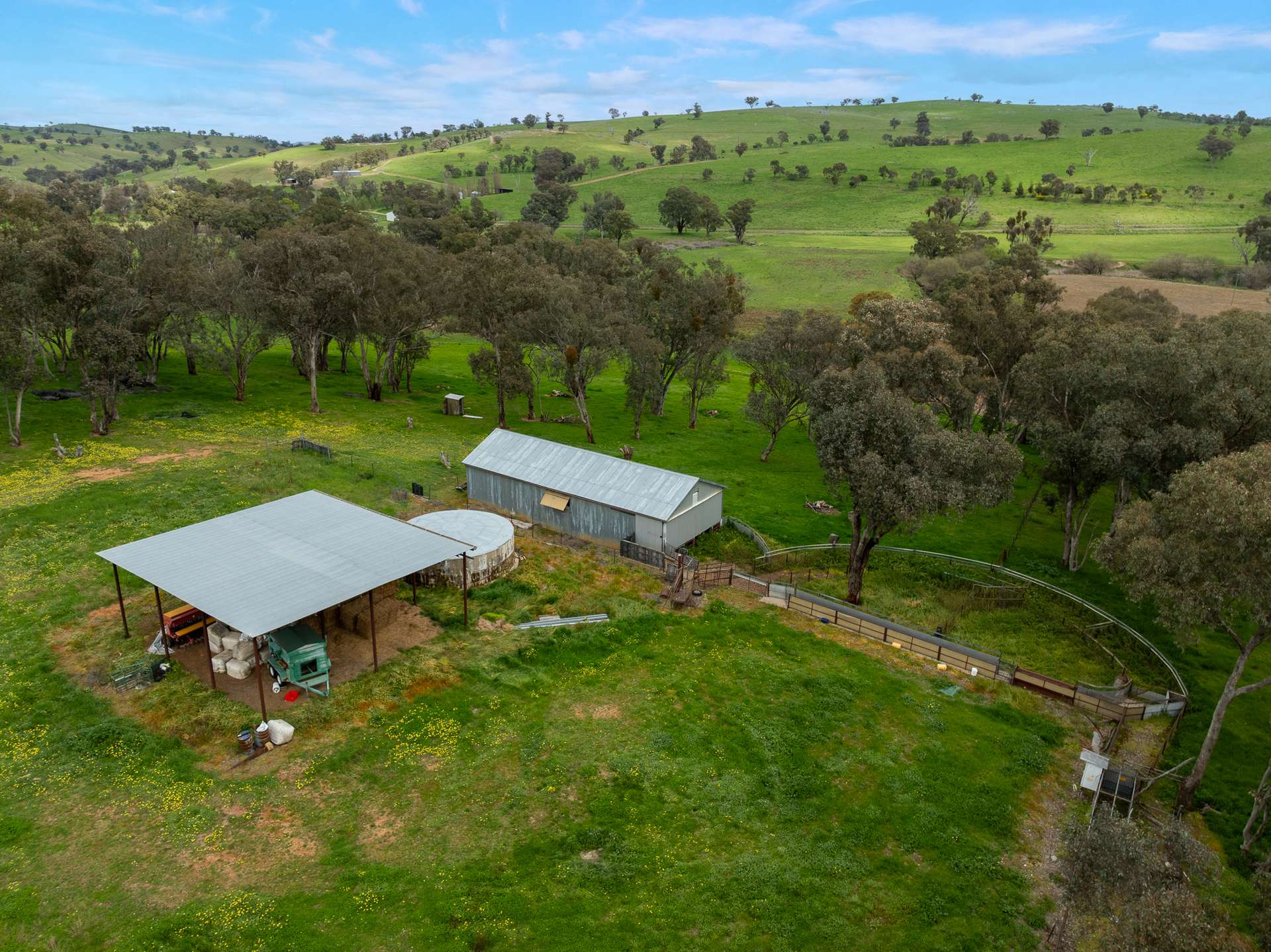 1079 Reg Hailstone Way, Woodstock Auction by Farmbuy.com - image 16