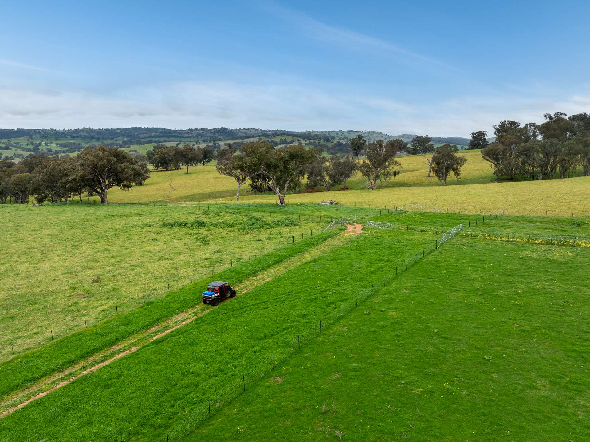 1079 Reg Hailstone Way, Woodstock Auction by Farmbuy.com - image 8