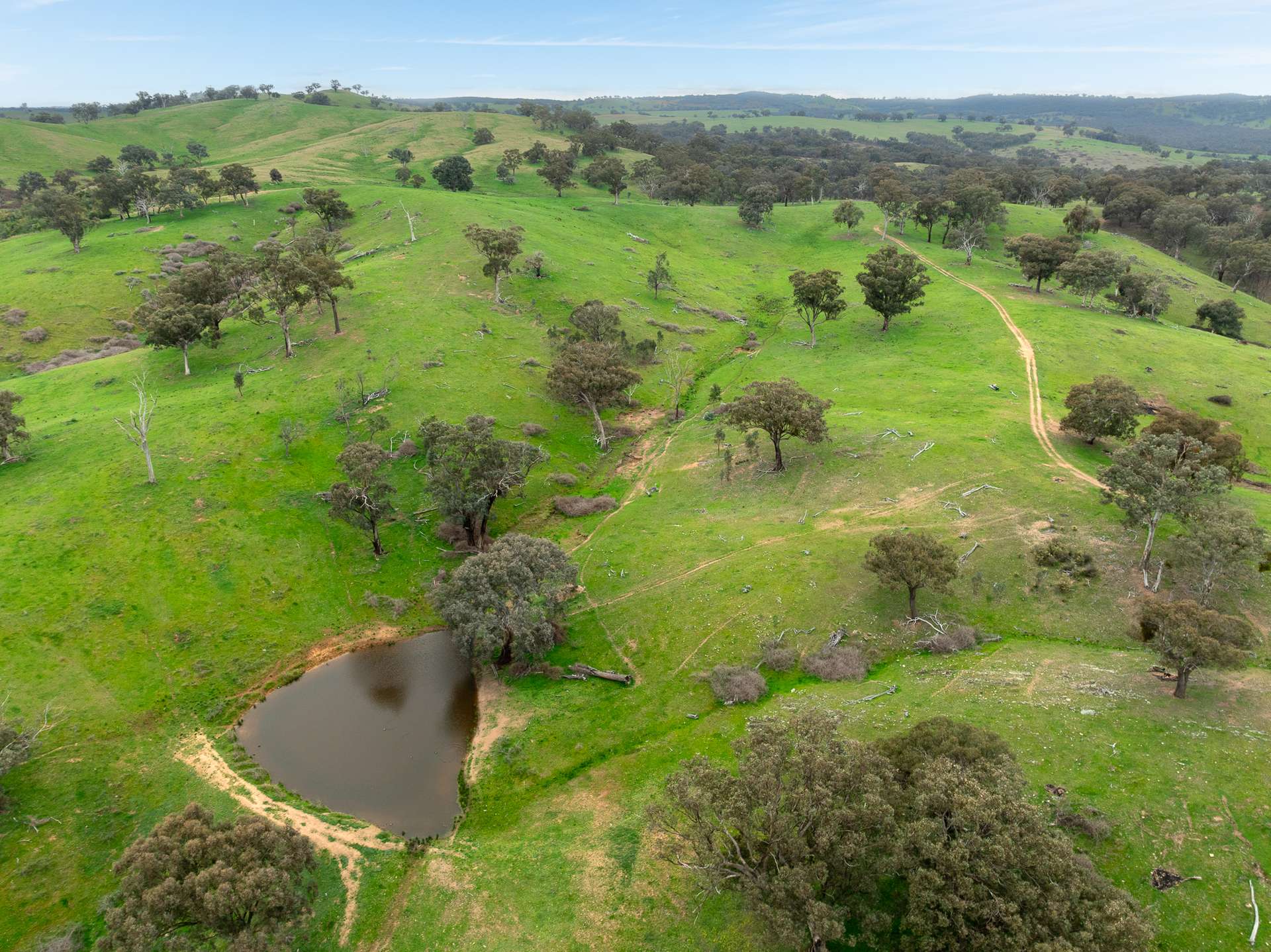 1079 Reg Hailstone Way, Woodstock Auction by Farmbuy.com - image 13