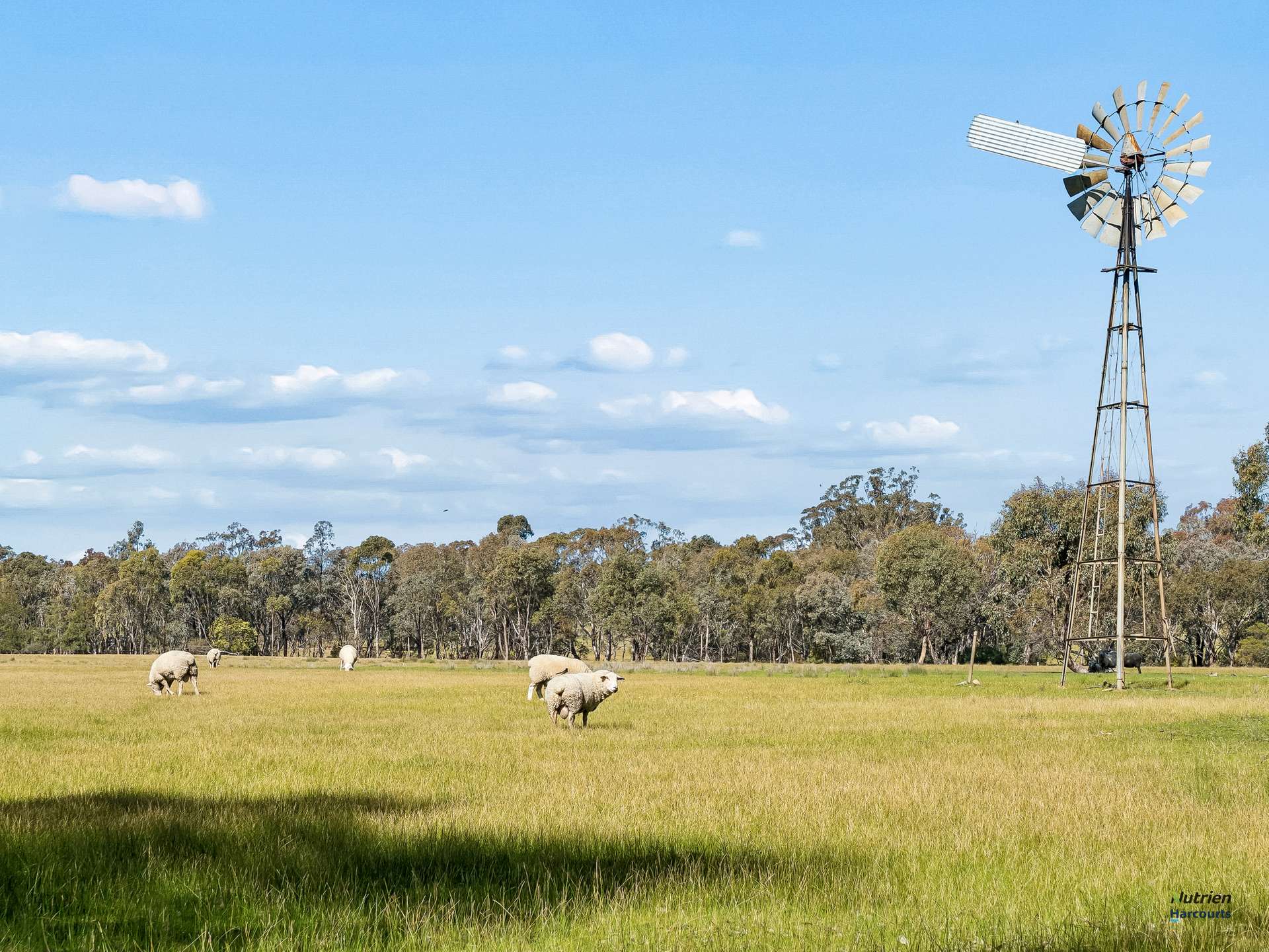 1924 Benalla Yarrawonga Road, Bungeet West For Sale by Farmbuy.com - image 15