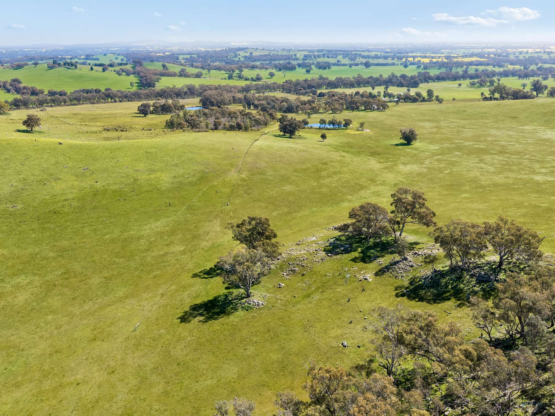 1924 Benalla Yarrawonga Road, Bungeet West For Sale by Farmbuy.com - image 22