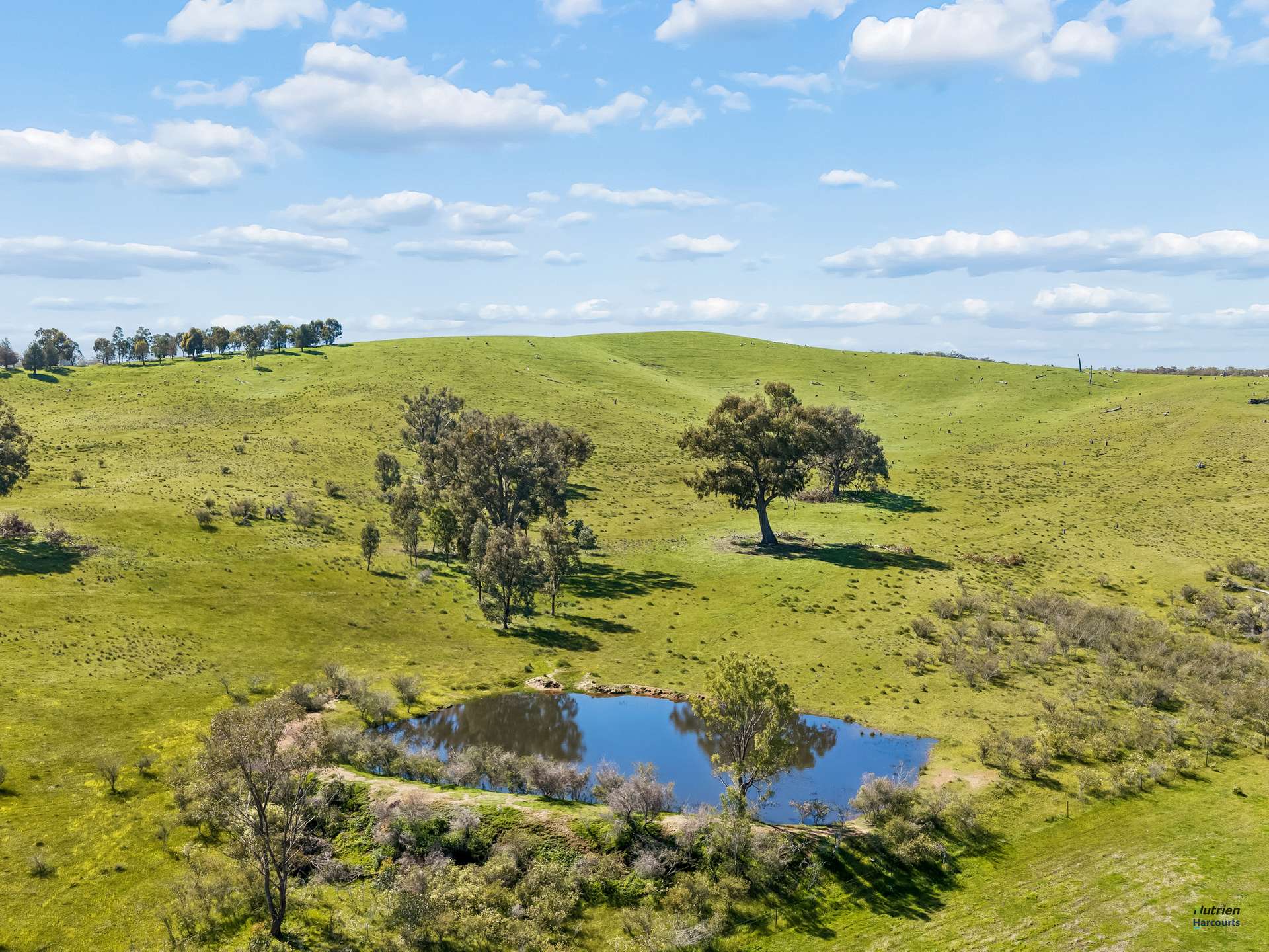 1924 Benalla Yarrawonga Road, Bungeet West For Sale by Farmbuy.com - image 19