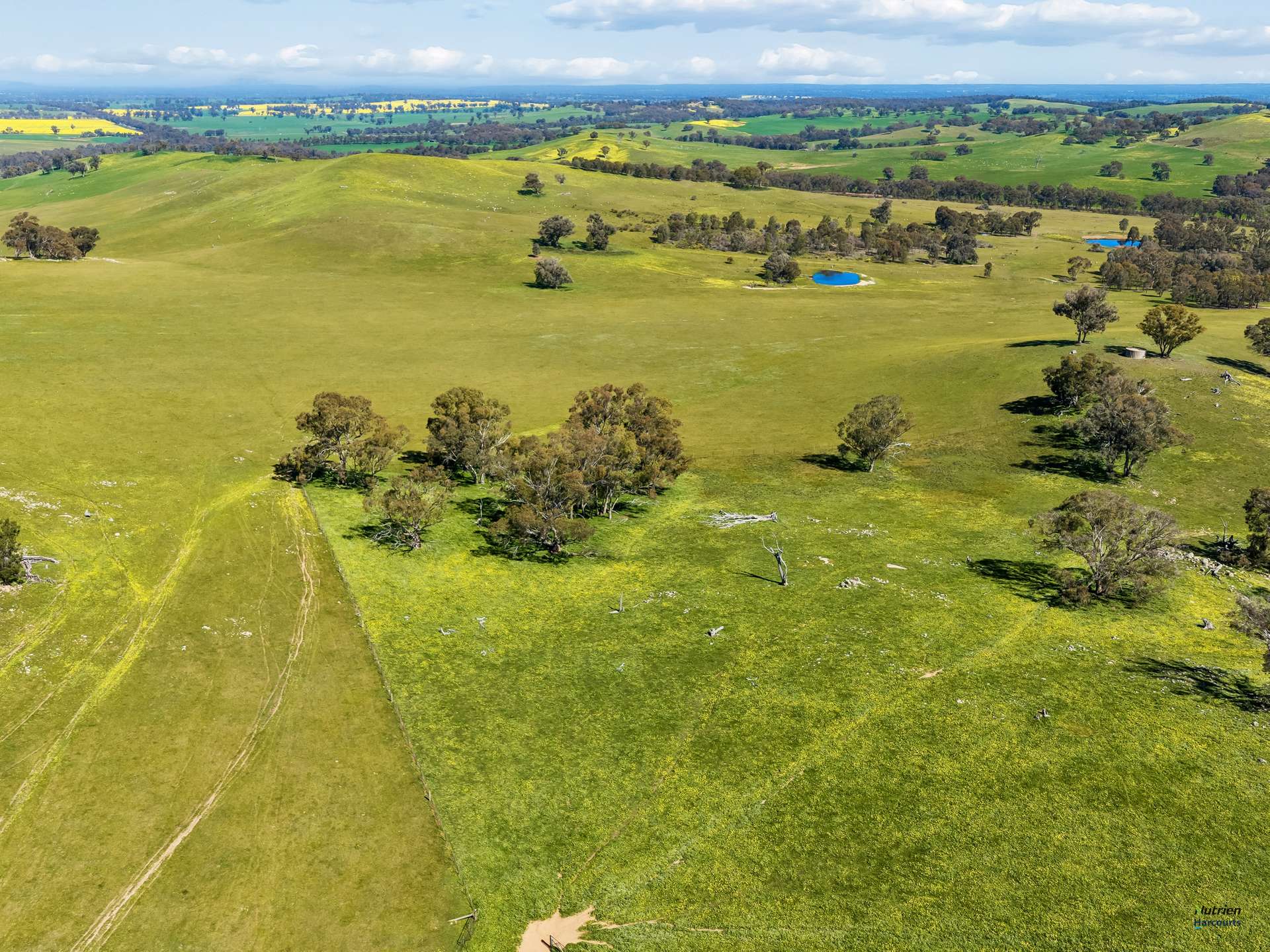 1924 Benalla Yarrawonga Road, Bungeet West For Sale by Farmbuy.com - image 23