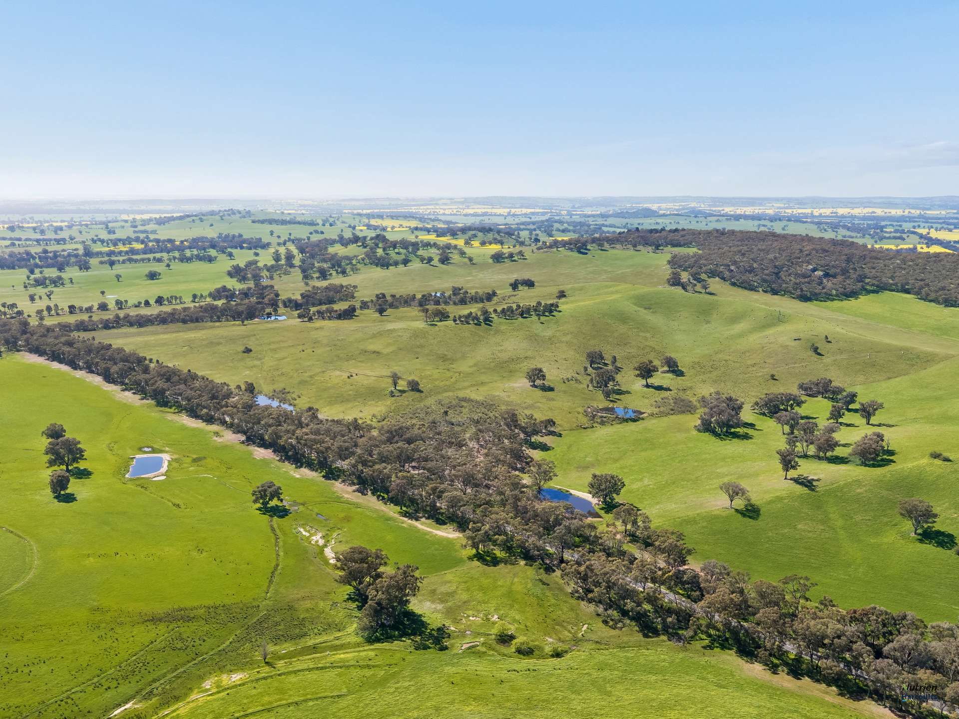 1924 Benalla Yarrawonga Road, Bungeet West For Sale by Farmbuy.com - image 18
