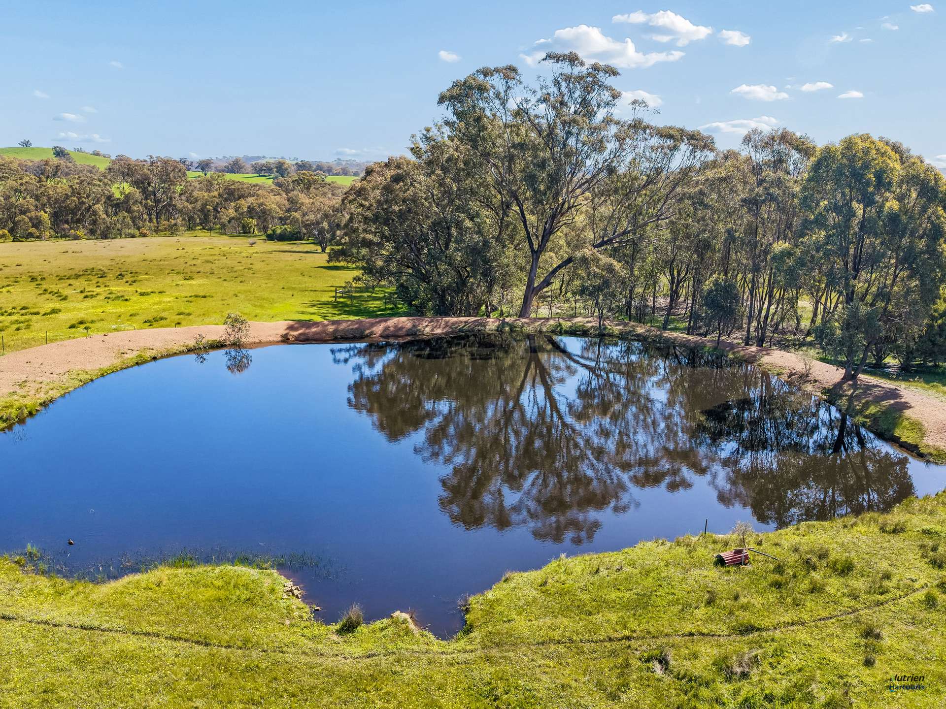 1924 Benalla Yarrawonga Road, Bungeet West For Sale by Farmbuy.com - image 5