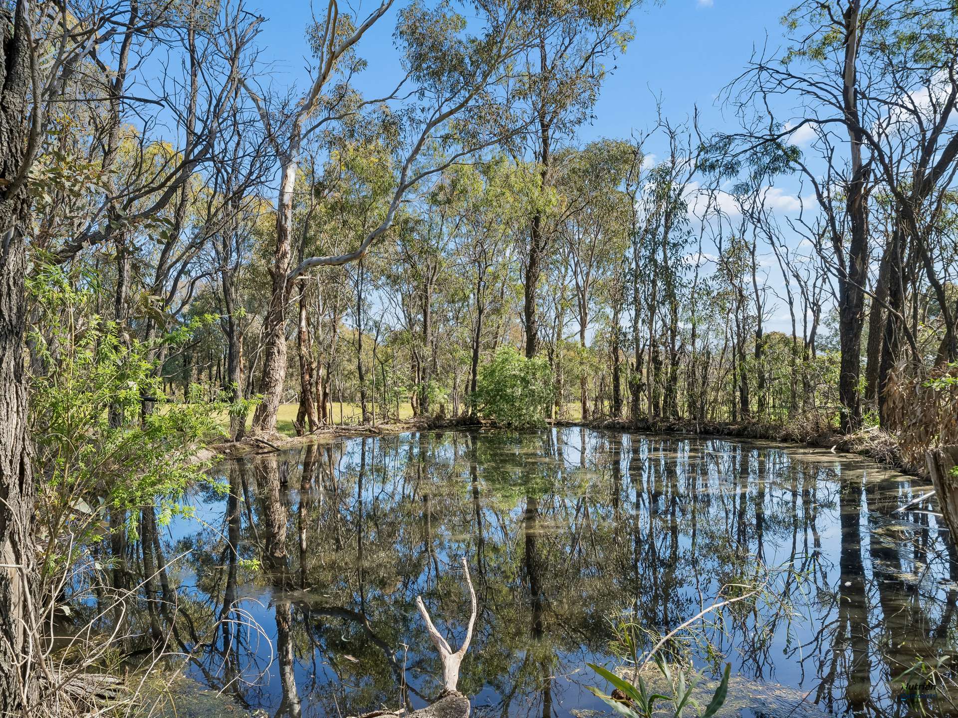 1924 Benalla Yarrawonga Road, Bungeet West For Sale by Farmbuy.com - image 16