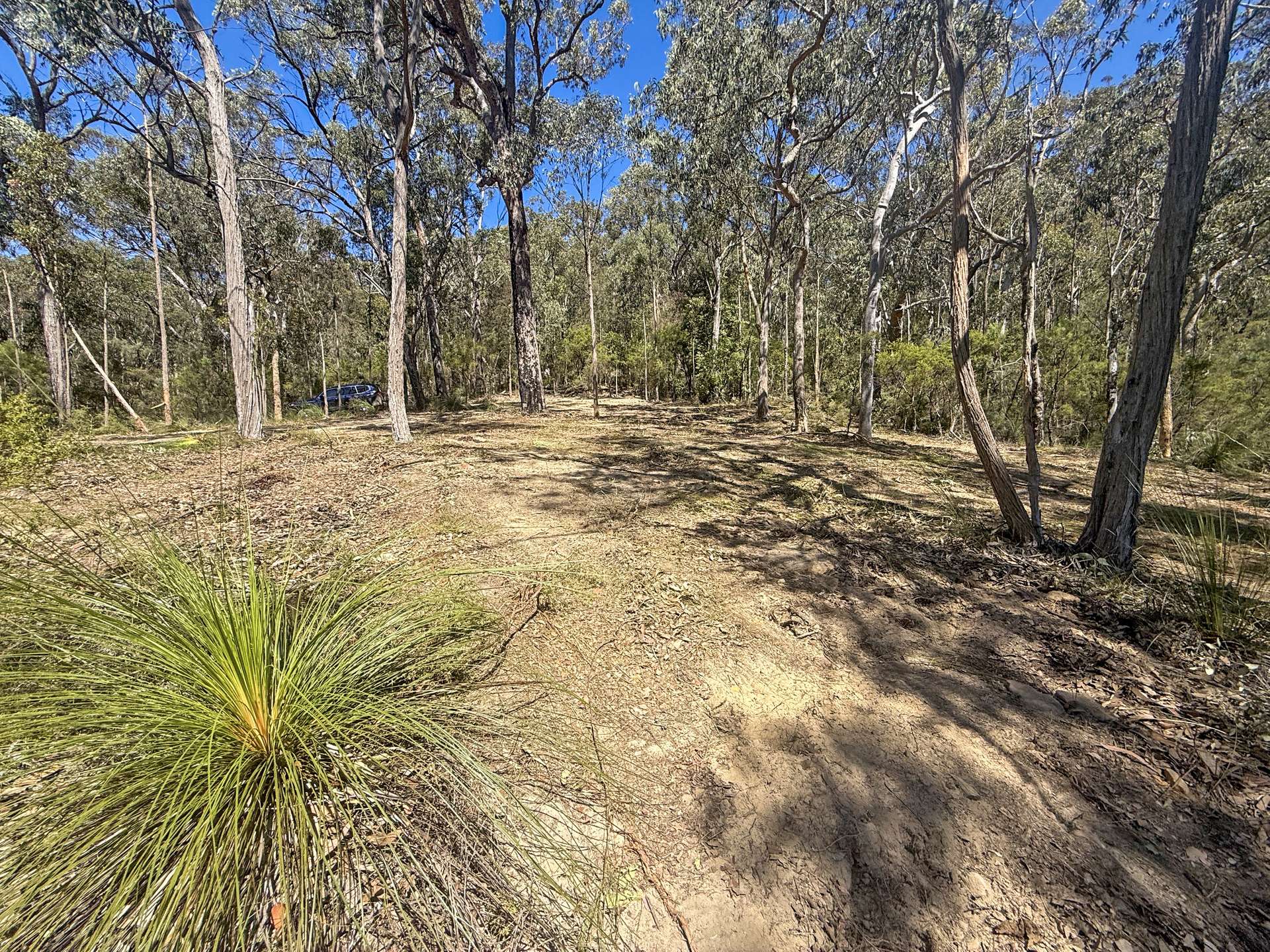 Parcel H Hitcham Park Dairy Arm Road, Laguna For Sale by Farmbuy.com - image 6