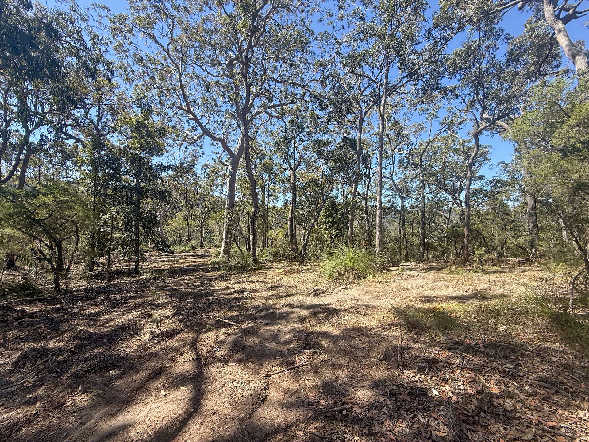 Parcel H Hitcham Park Dairy Arm Road, Laguna For Sale by Farmbuy.com - image 11