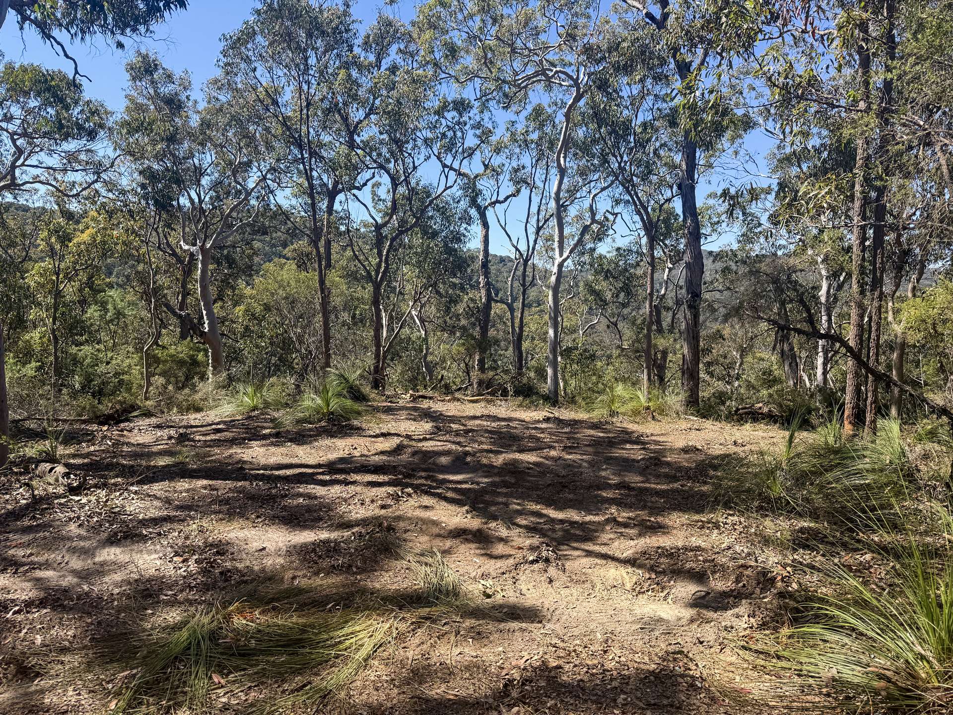 Parcel H Hitcham Park Dairy Arm Road, Laguna For Sale by Farmbuy.com - image 12