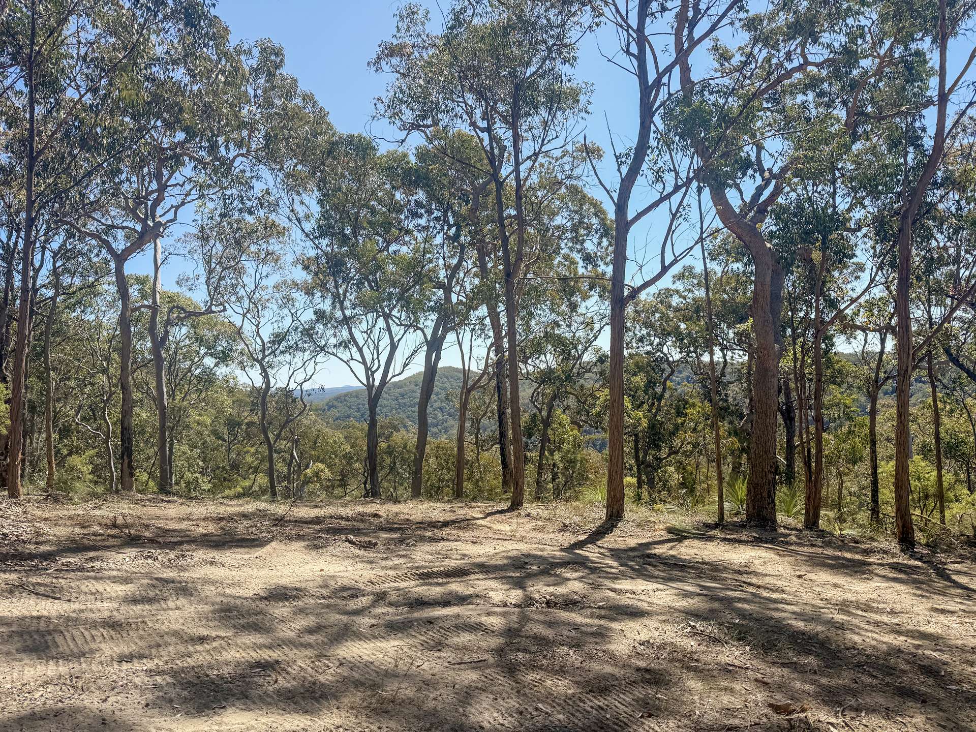 Parcel H Hitcham Park Dairy Arm Road, Laguna For Sale by Farmbuy.com - image 1