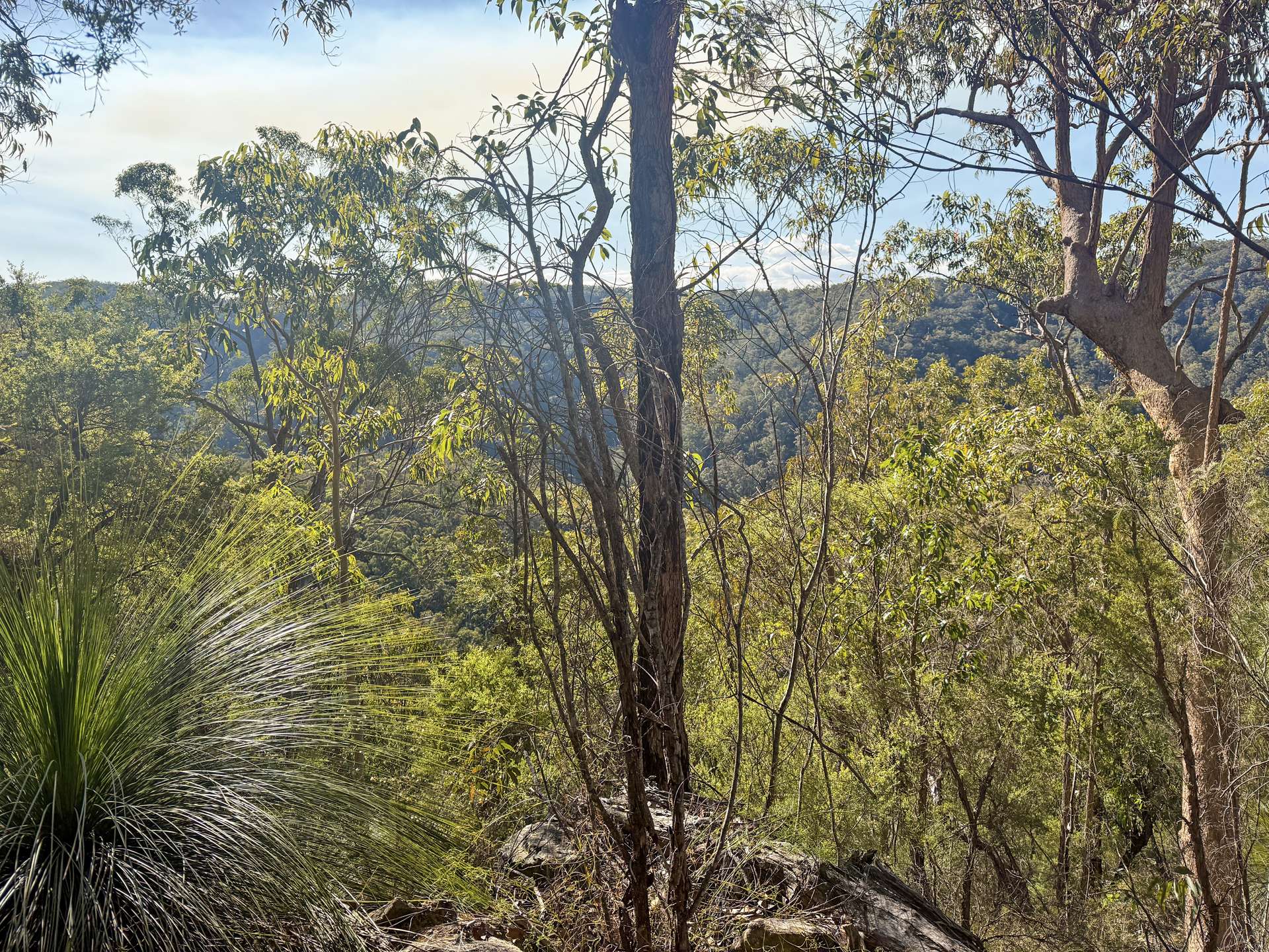 Parcel H Hitcham Park Dairy Arm Road, Laguna For Sale by Farmbuy.com - image 7