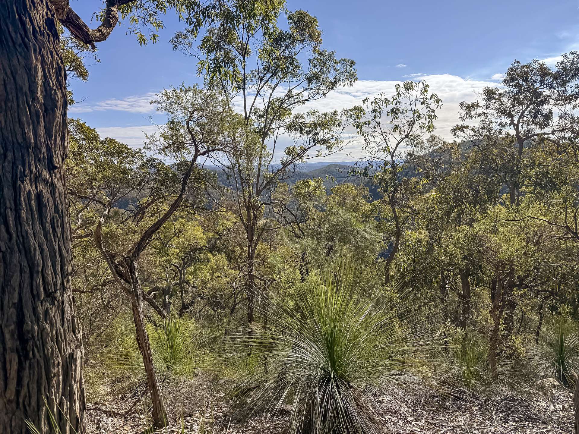 Parcel H Hitcham Park Dairy Arm Road, Laguna For Sale by Farmbuy.com - image 2