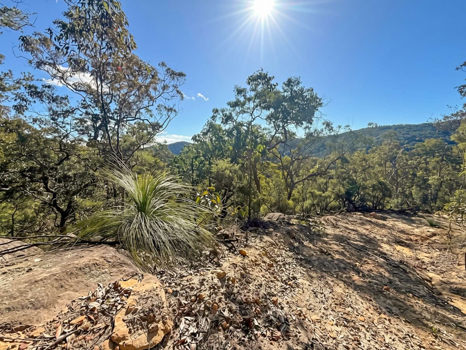 Parcel H Hitcham Park Dairy Arm Road, Laguna For Sale by Farmbuy.com - image 3