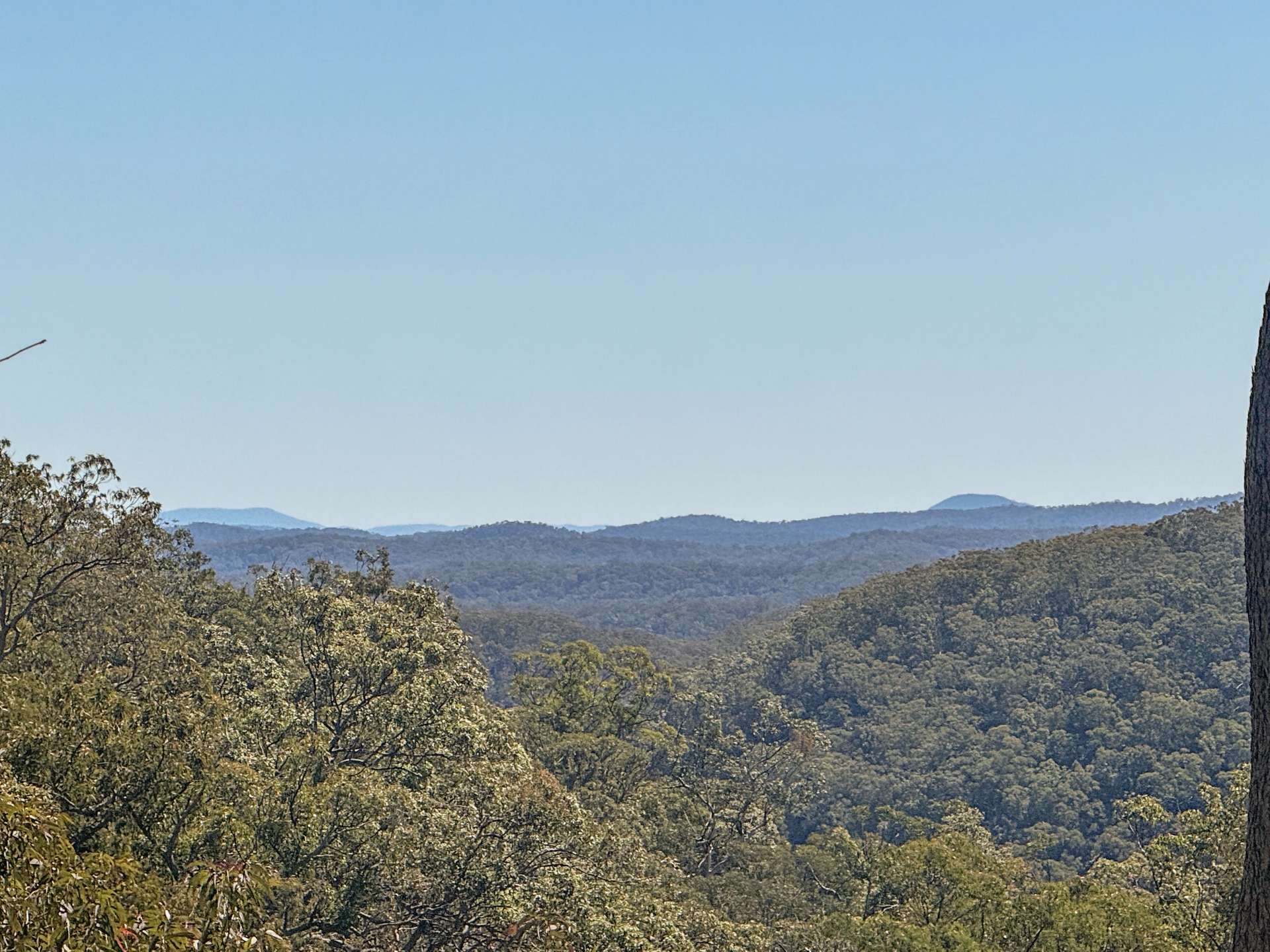 Parcel H Hitcham Park Dairy Arm Road, Laguna For Sale by Farmbuy.com - image 8