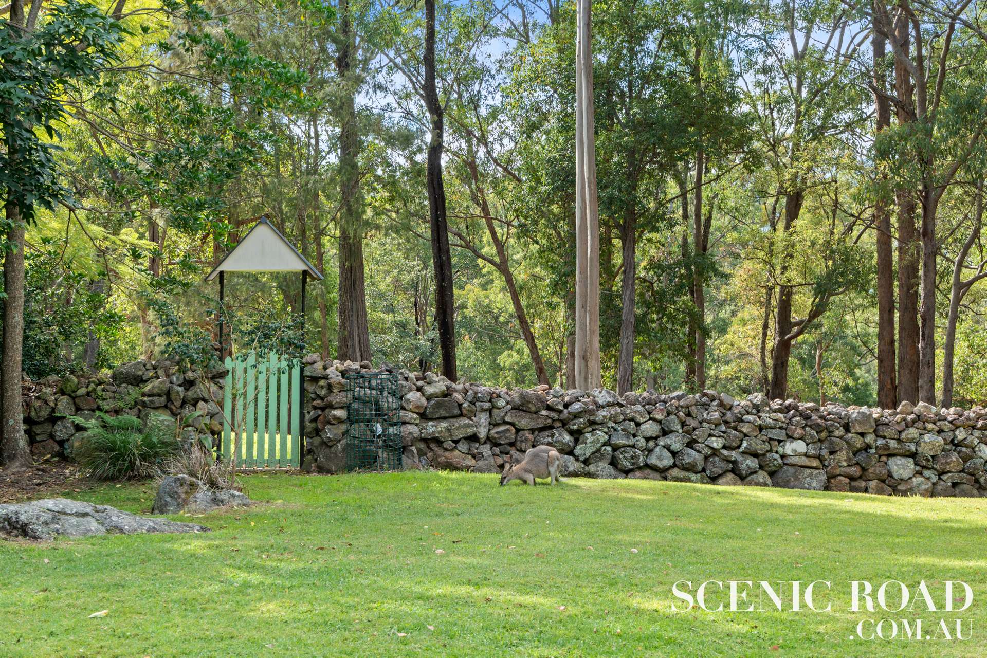 12318 Mount Lindesay Highway, Mount Lindesay For Sale by Farmbuy.com - image 28