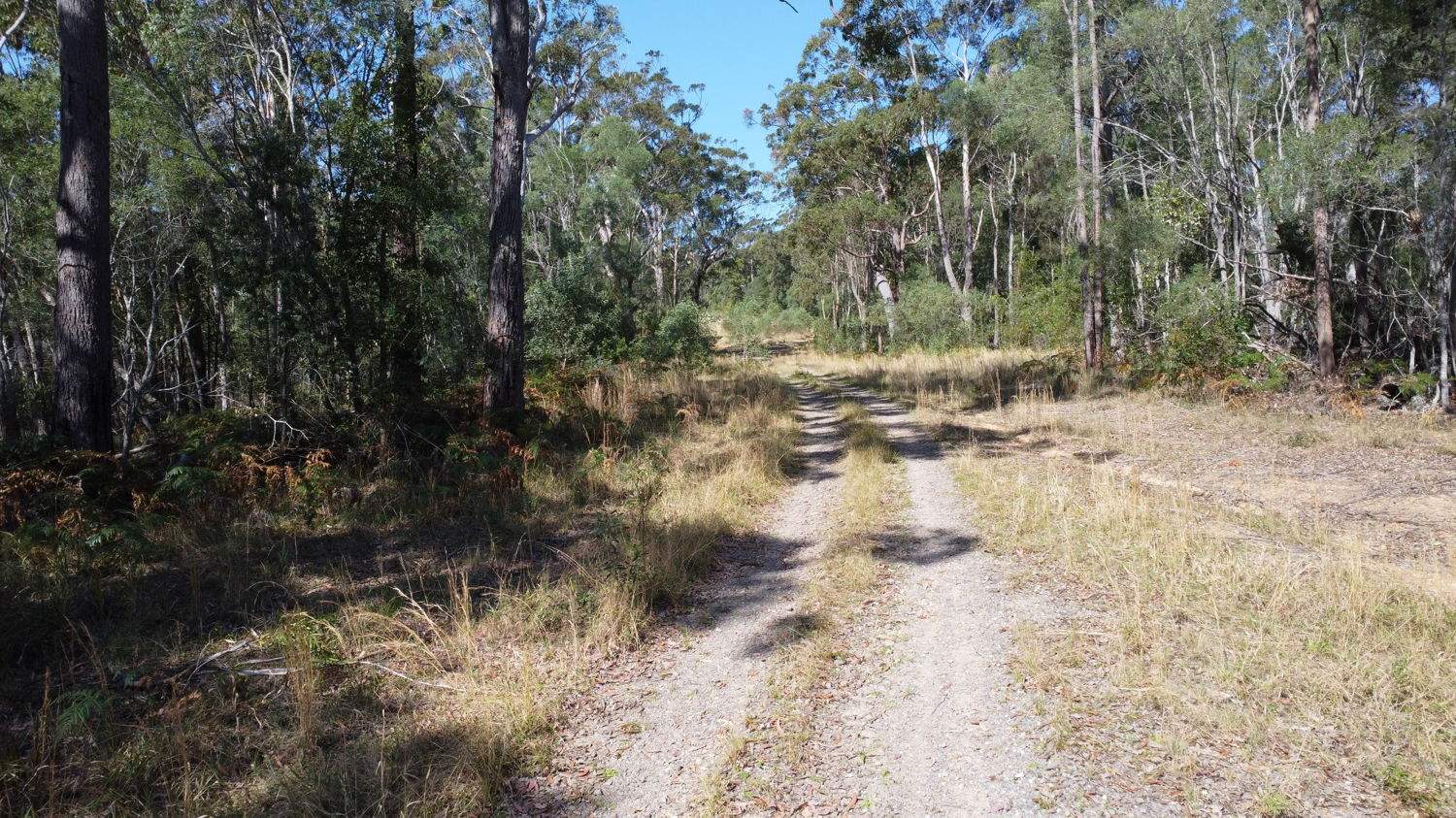 Lot 31 Redgate Road, New Italy For Sale by Farmbuy.com - image 7