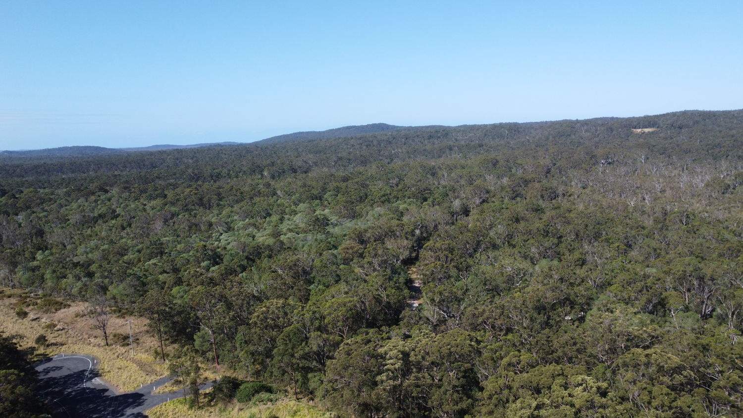 Lot 31 Redgate Road, New Italy For Sale by Farmbuy.com - image 15