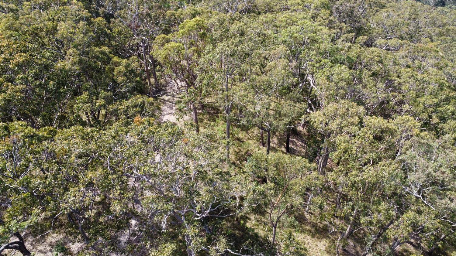 Lot 31 Redgate Road, New Italy For Sale by Farmbuy.com - image 13
