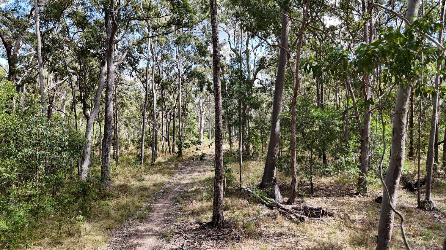 Lot 31 Redgate Road, New Italy For Sale by Farmbuy.com - image 6