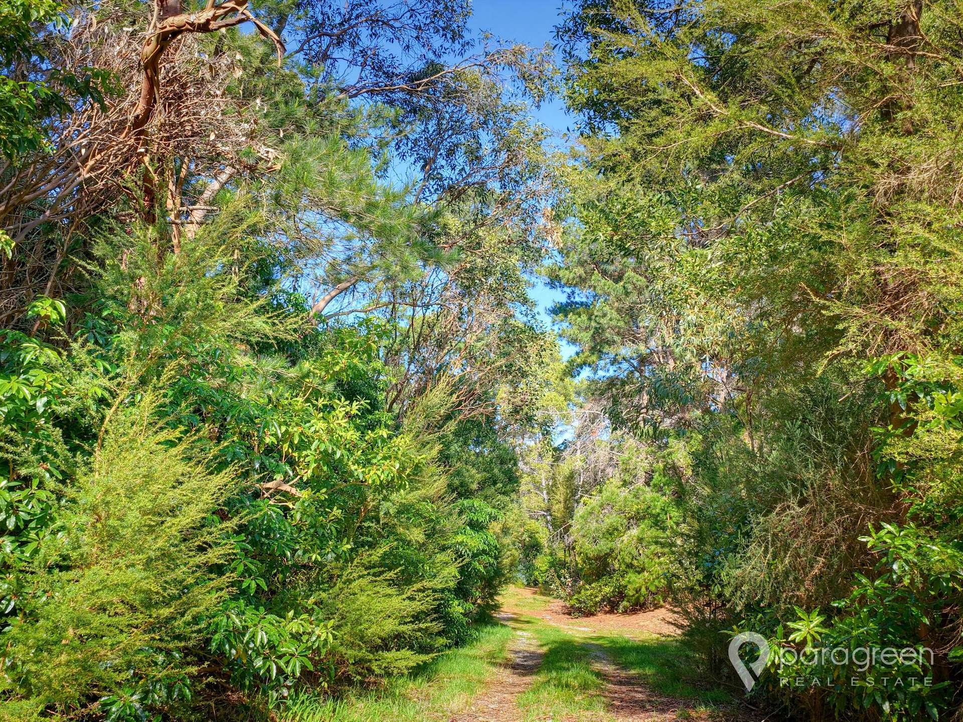 36 Hall Road, Foster For Sale by Farmbuy.com - image 6
