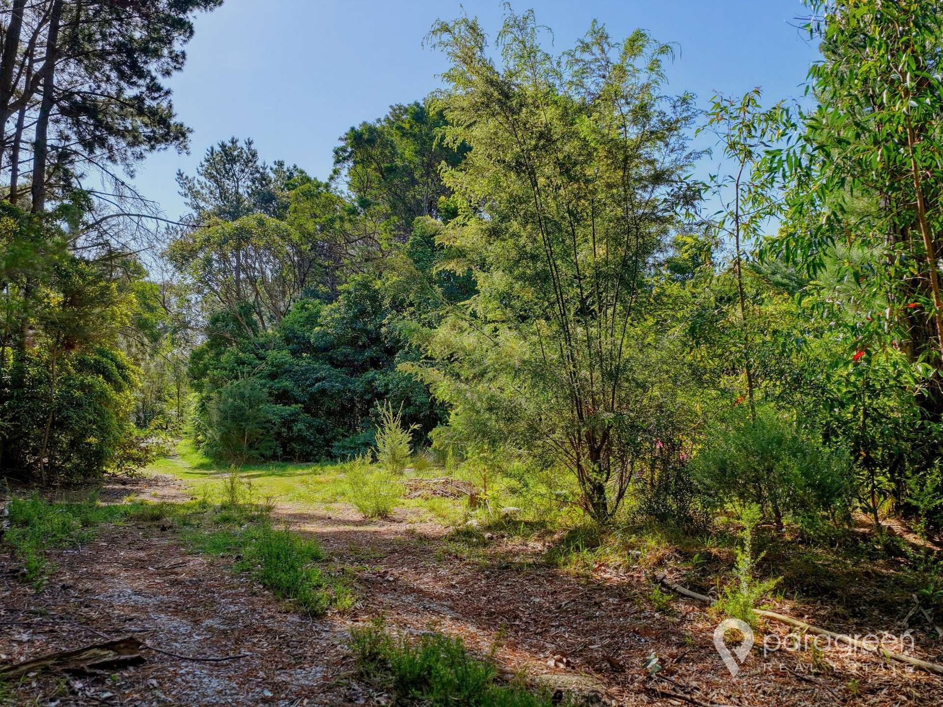 36 Hall Road, Foster For Sale by Farmbuy.com - image 5