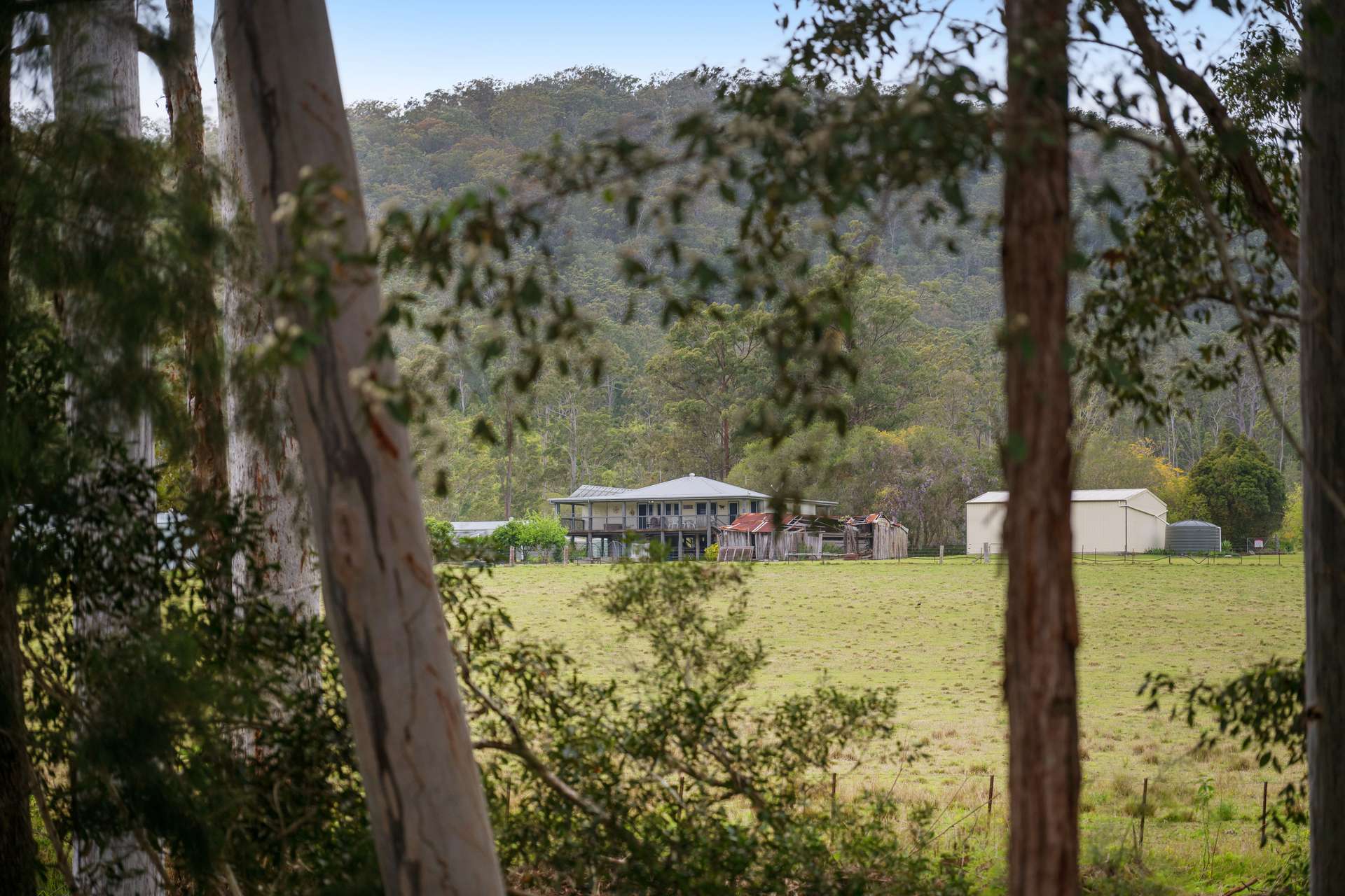 876 Smiths Creek Road, Kundabung For Sale by Farmbuy.com - image 26