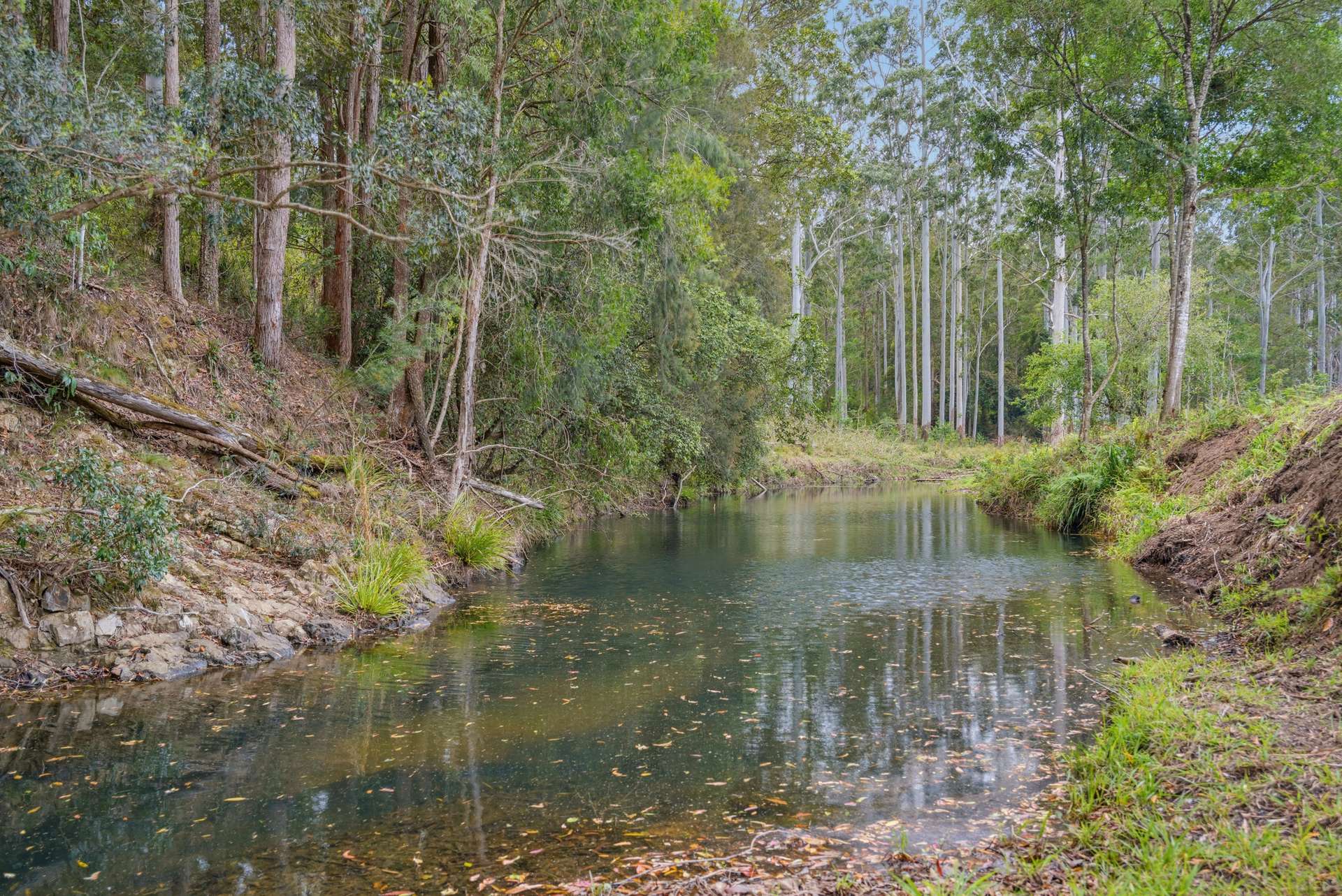 876 Smiths Creek Road, Kundabung For Sale by Farmbuy.com - image 25