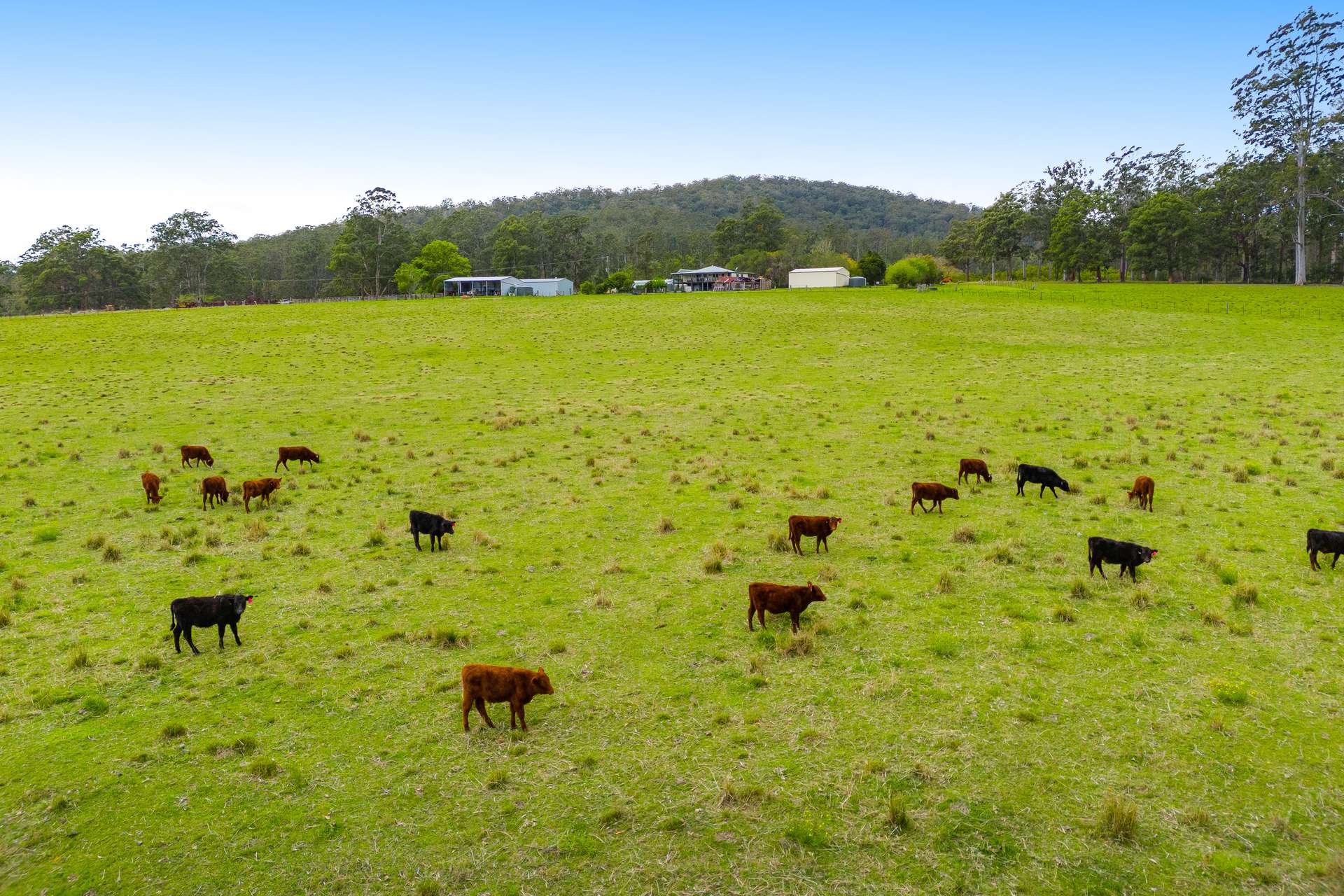 876 Smiths Creek Road, Kundabung For Sale by Farmbuy.com - image 4