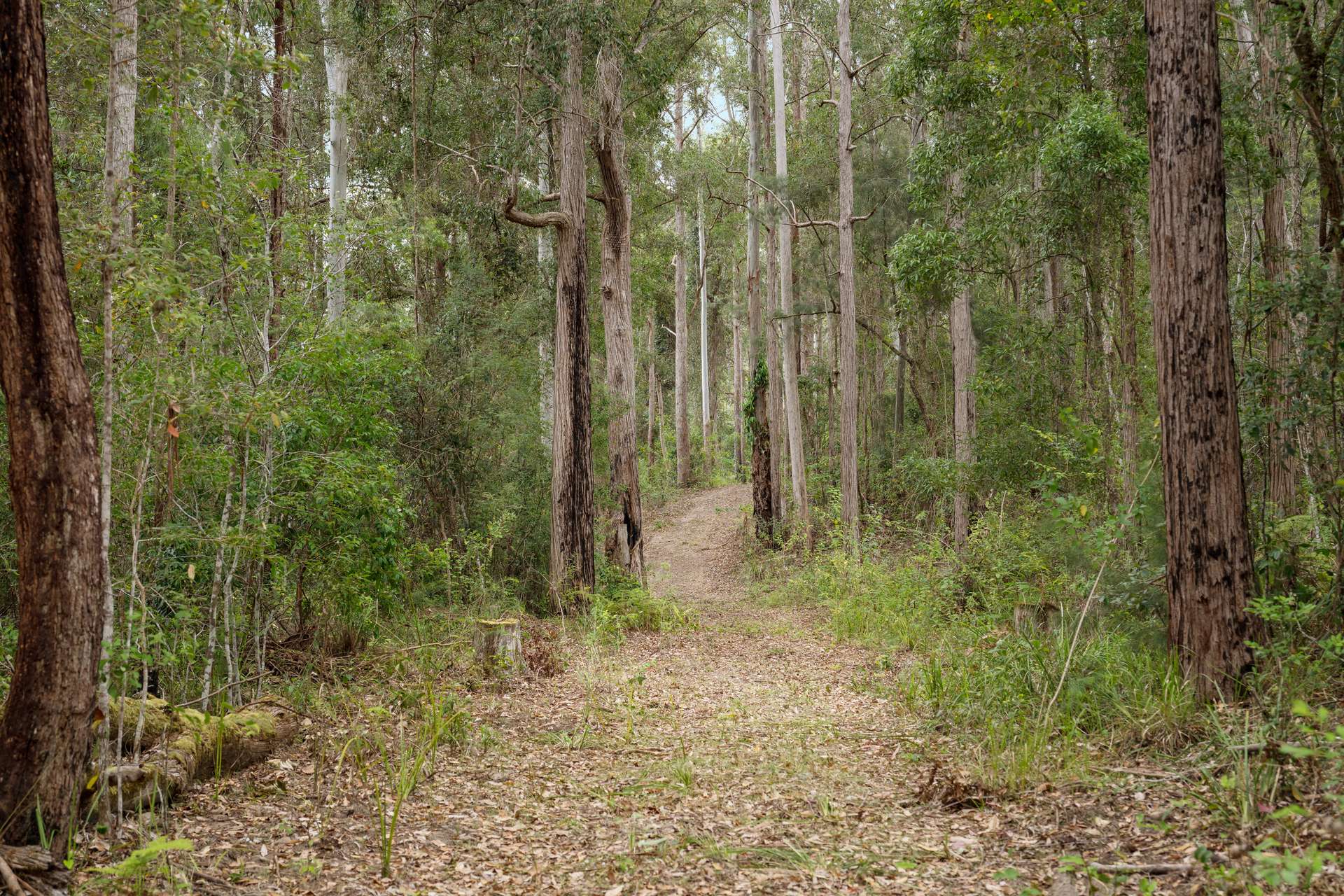 876 Smiths Creek Road, Kundabung For Sale by Farmbuy.com - image 23