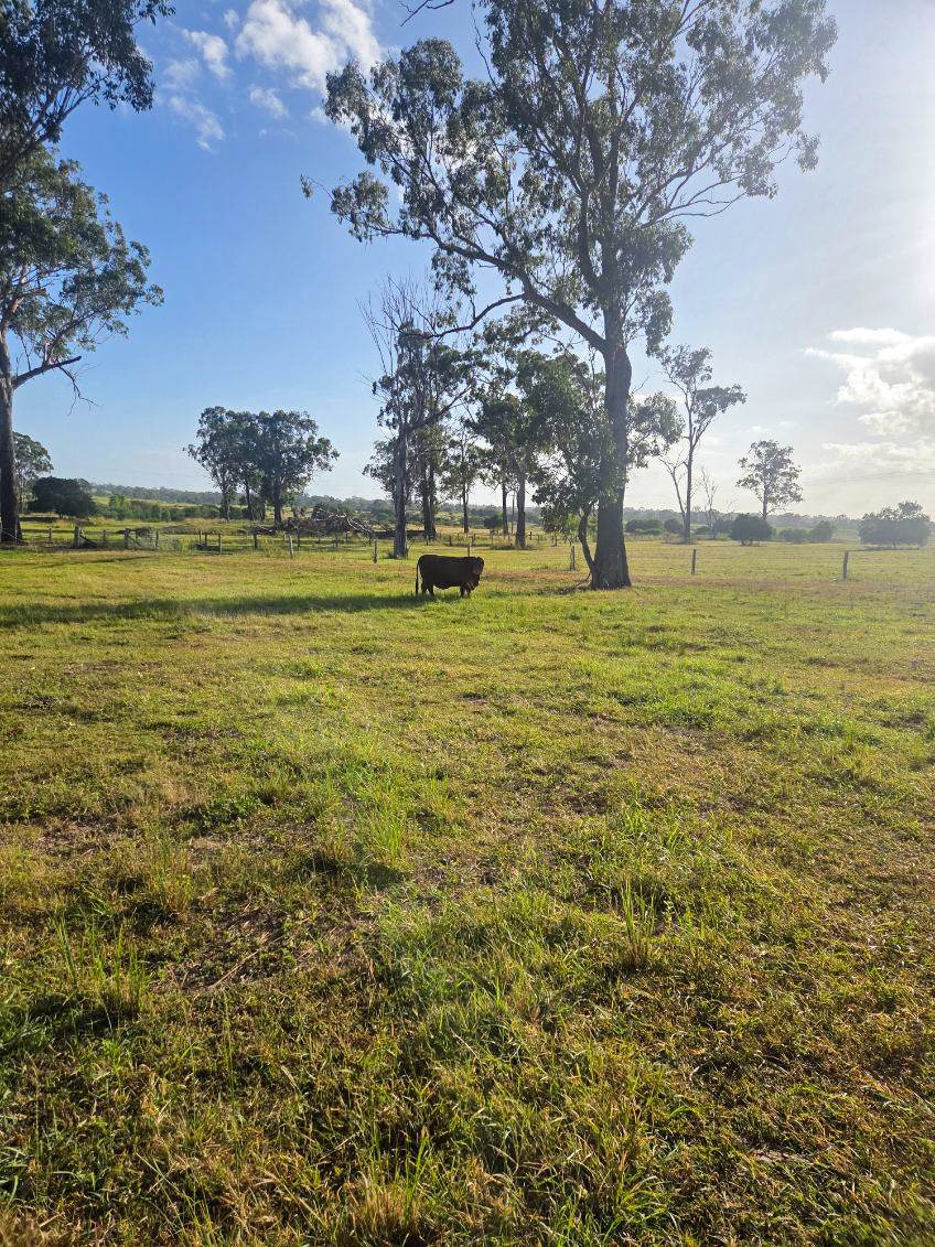 808 Pine Creek Road, Givelda For Sale by Farmbuy.com - image 35