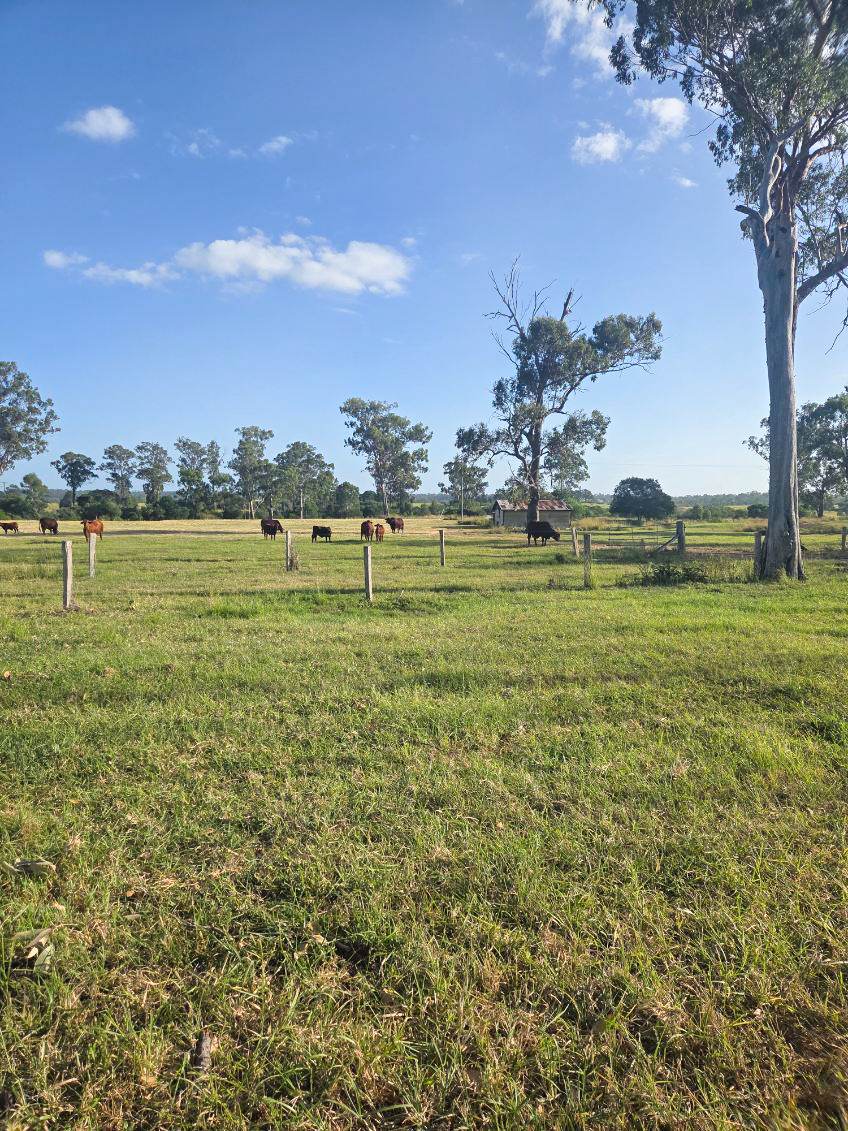 808 Pine Creek Road, Givelda For Sale by Farmbuy.com - image 34