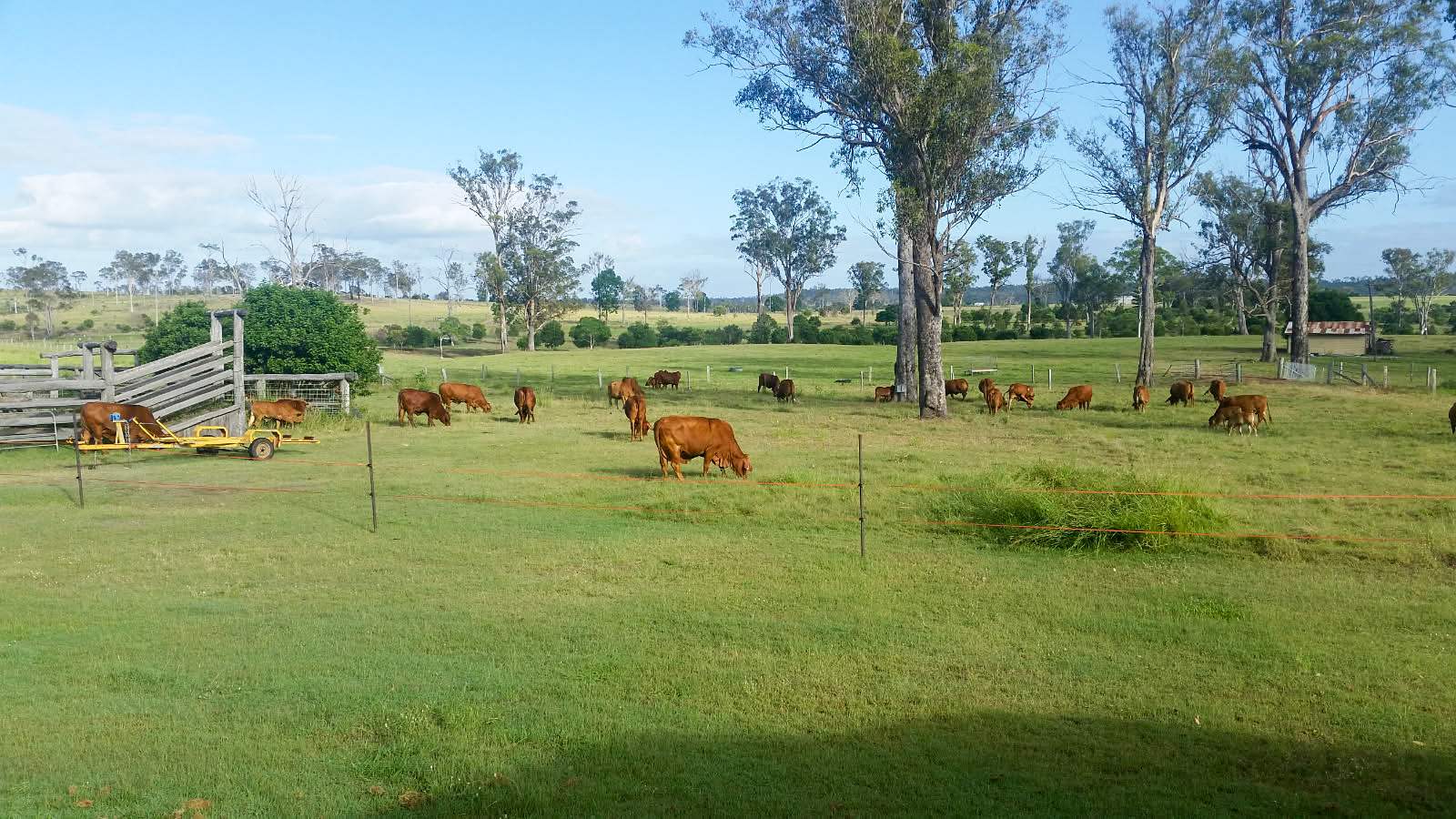 808 Pine Creek Road, Givelda For Sale by Farmbuy.com - image 33