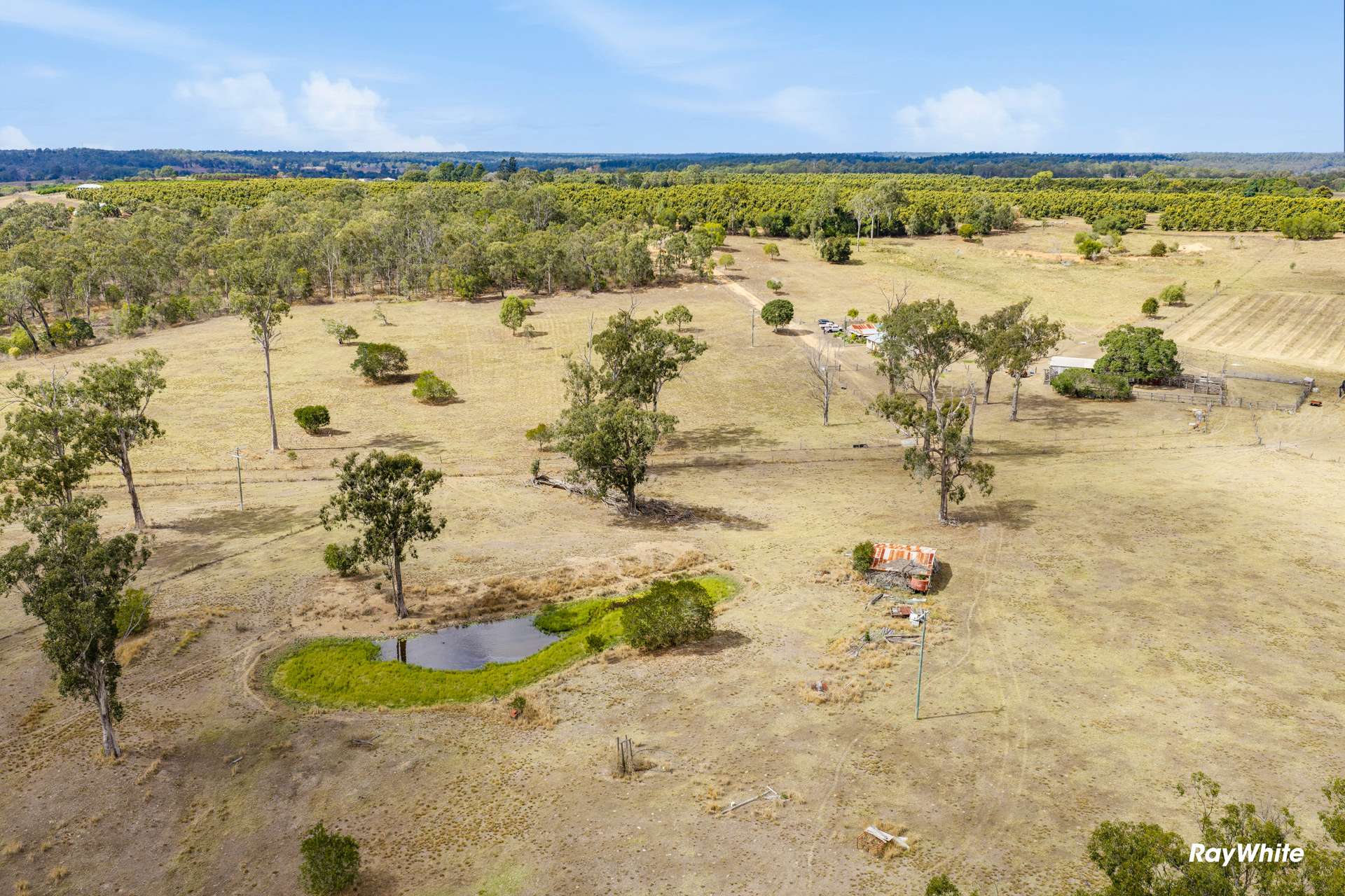808 Pine Creek Road, Givelda For Sale by Farmbuy.com - image 5
