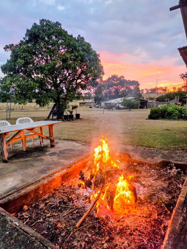 808 Pine Creek Road, Givelda For Sale by Farmbuy.com - image 28