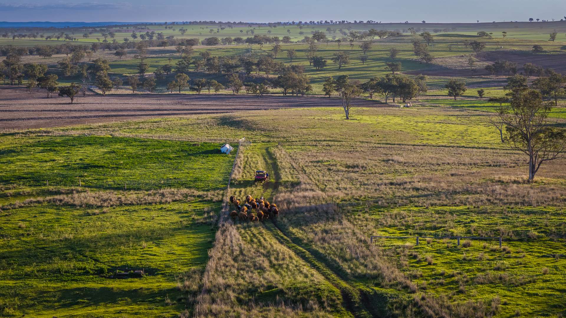 6507 Golden Highway, Merriwa Auction by Farmbuy.com - image 22