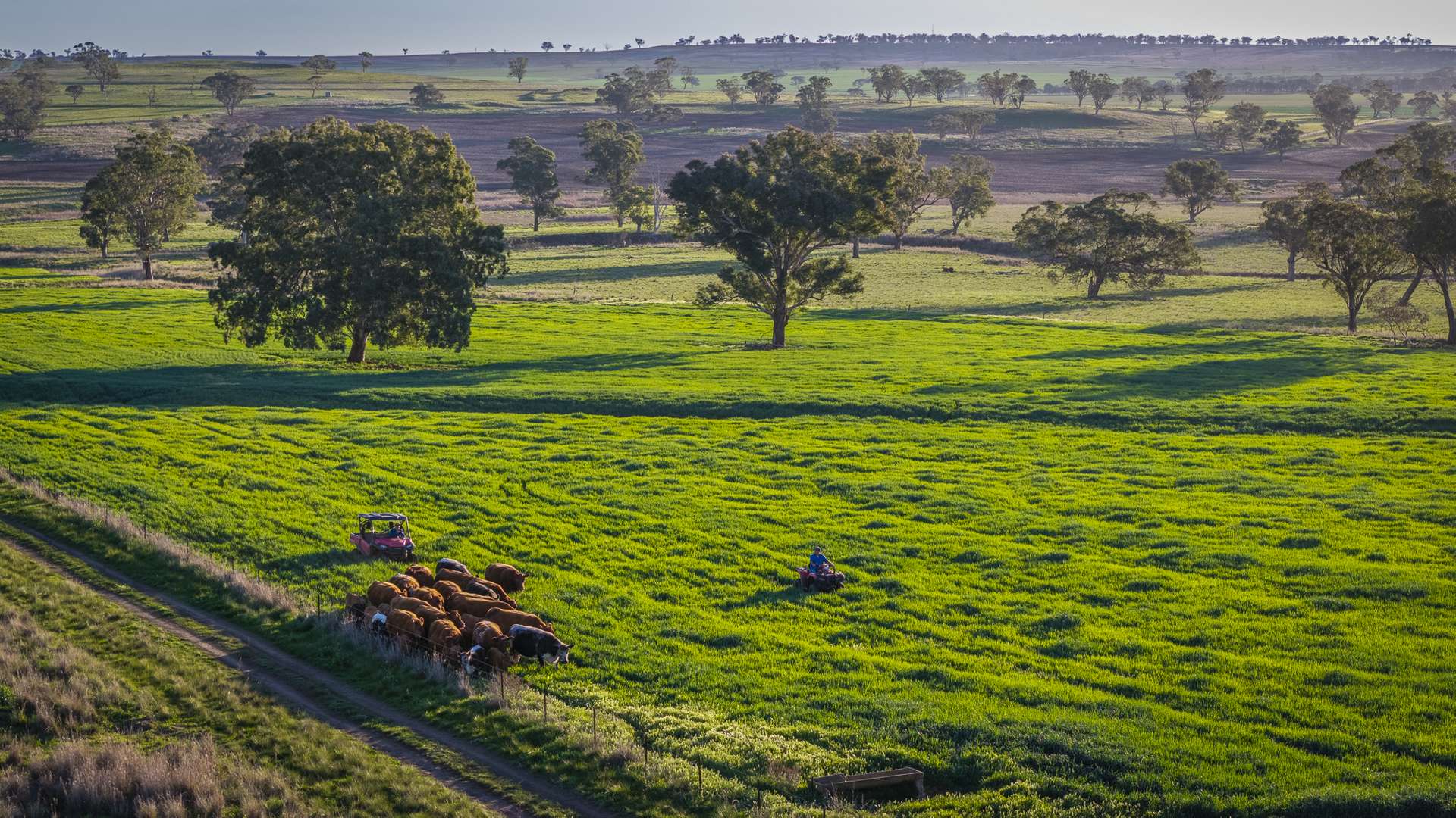 6507 Golden Highway, Merriwa Auction by Farmbuy.com - image 8